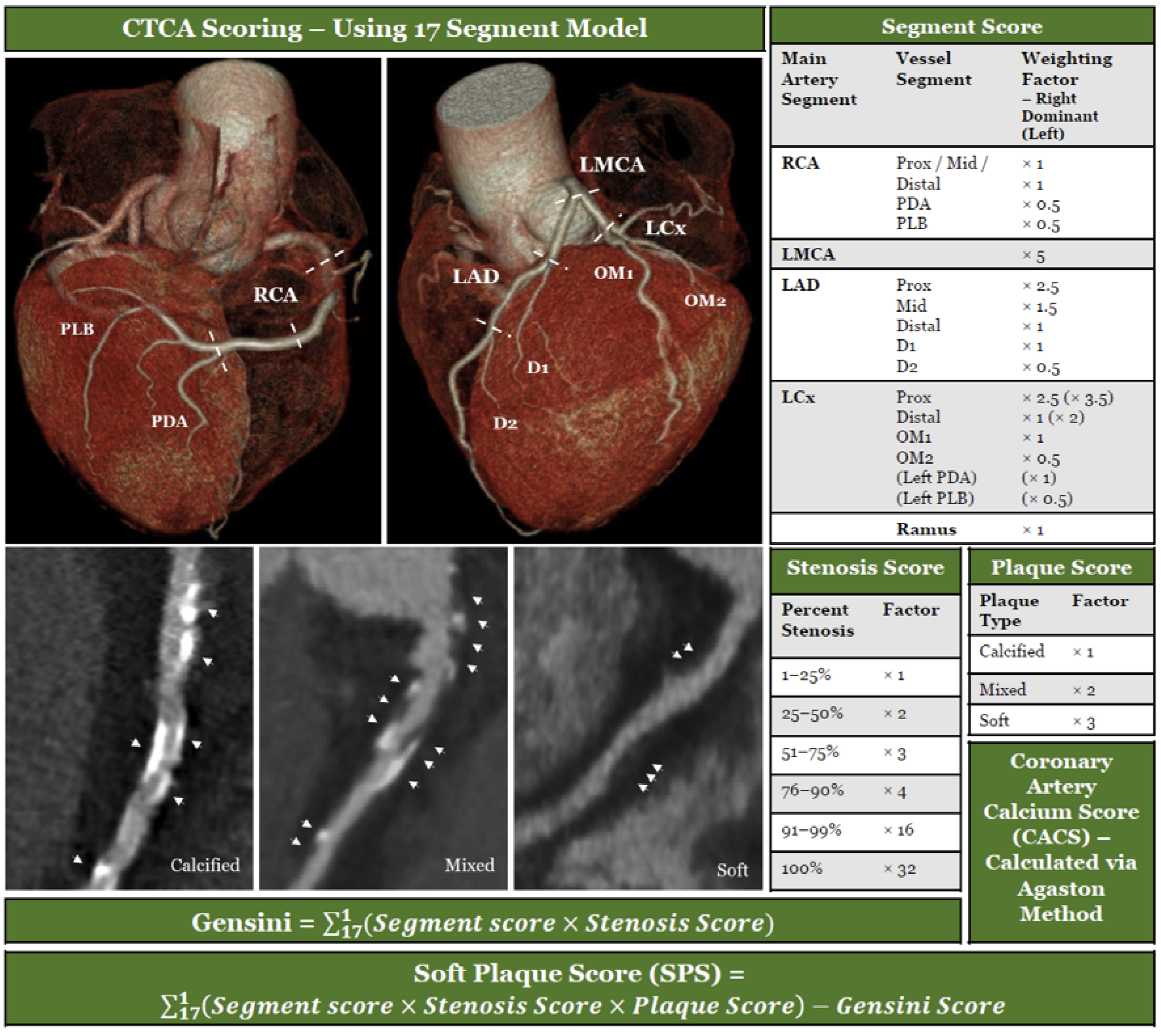 Biomolecules 13 01187 g002