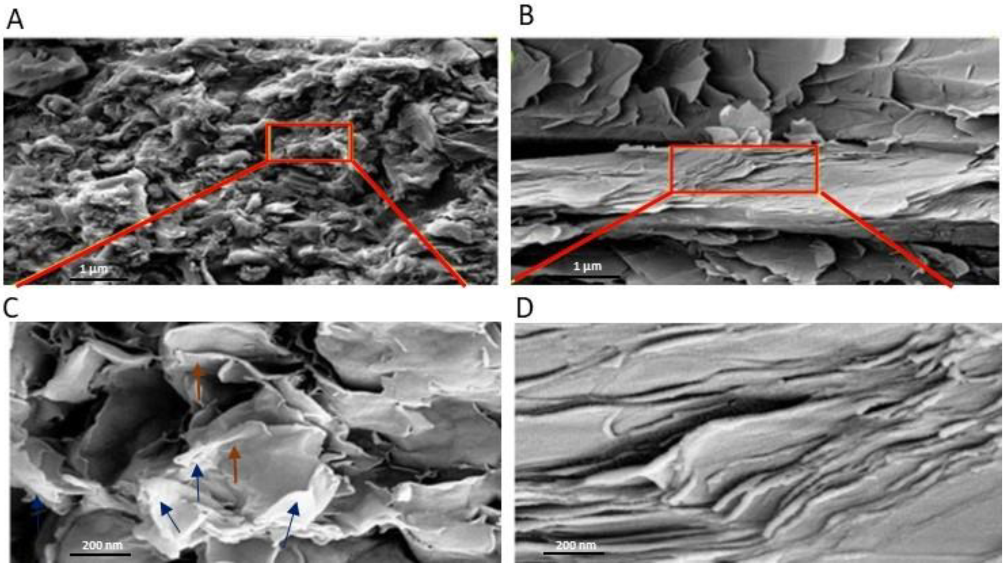Biomolecules 13 01192 g001