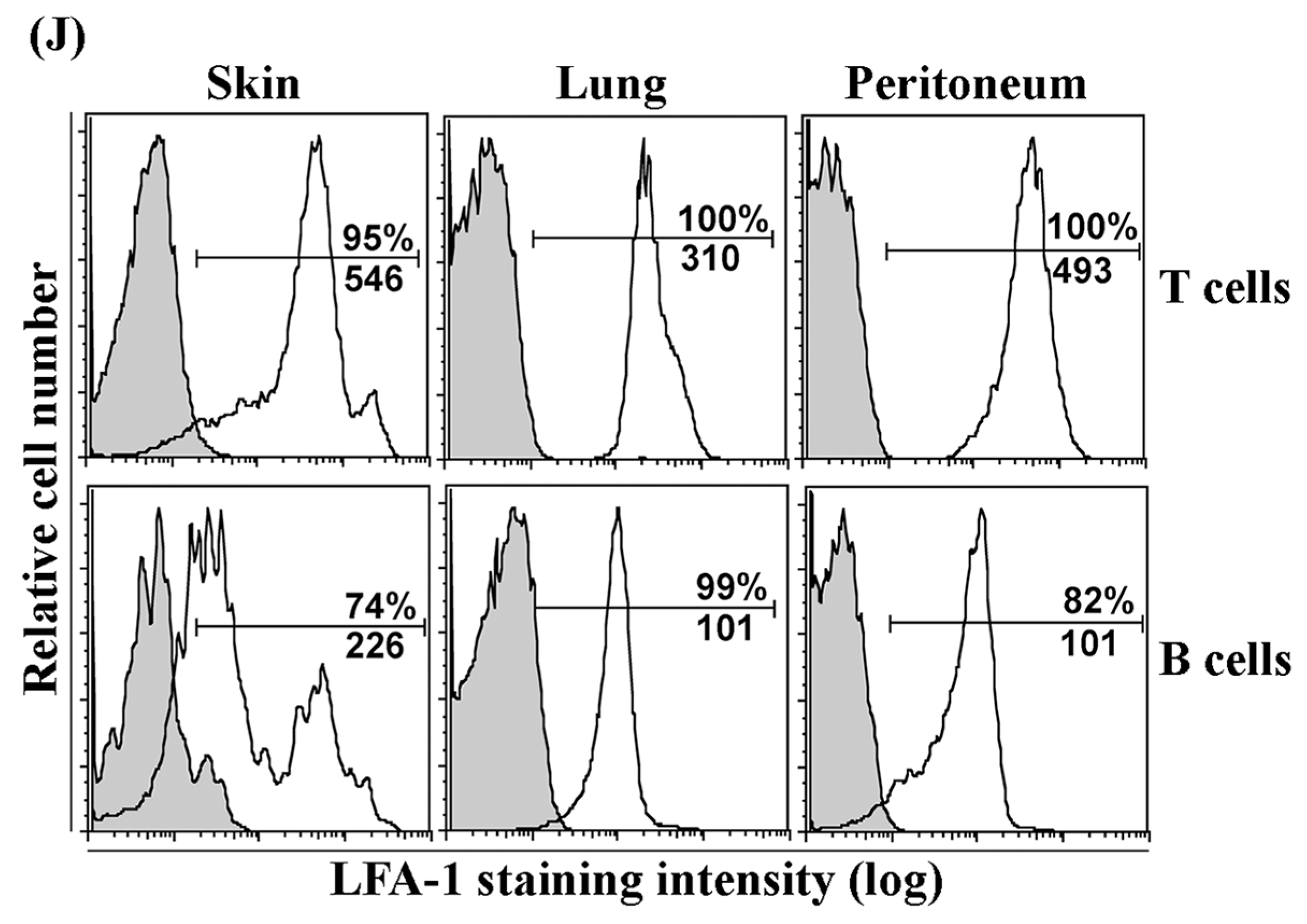 Biomolecules 13 01194 g001b