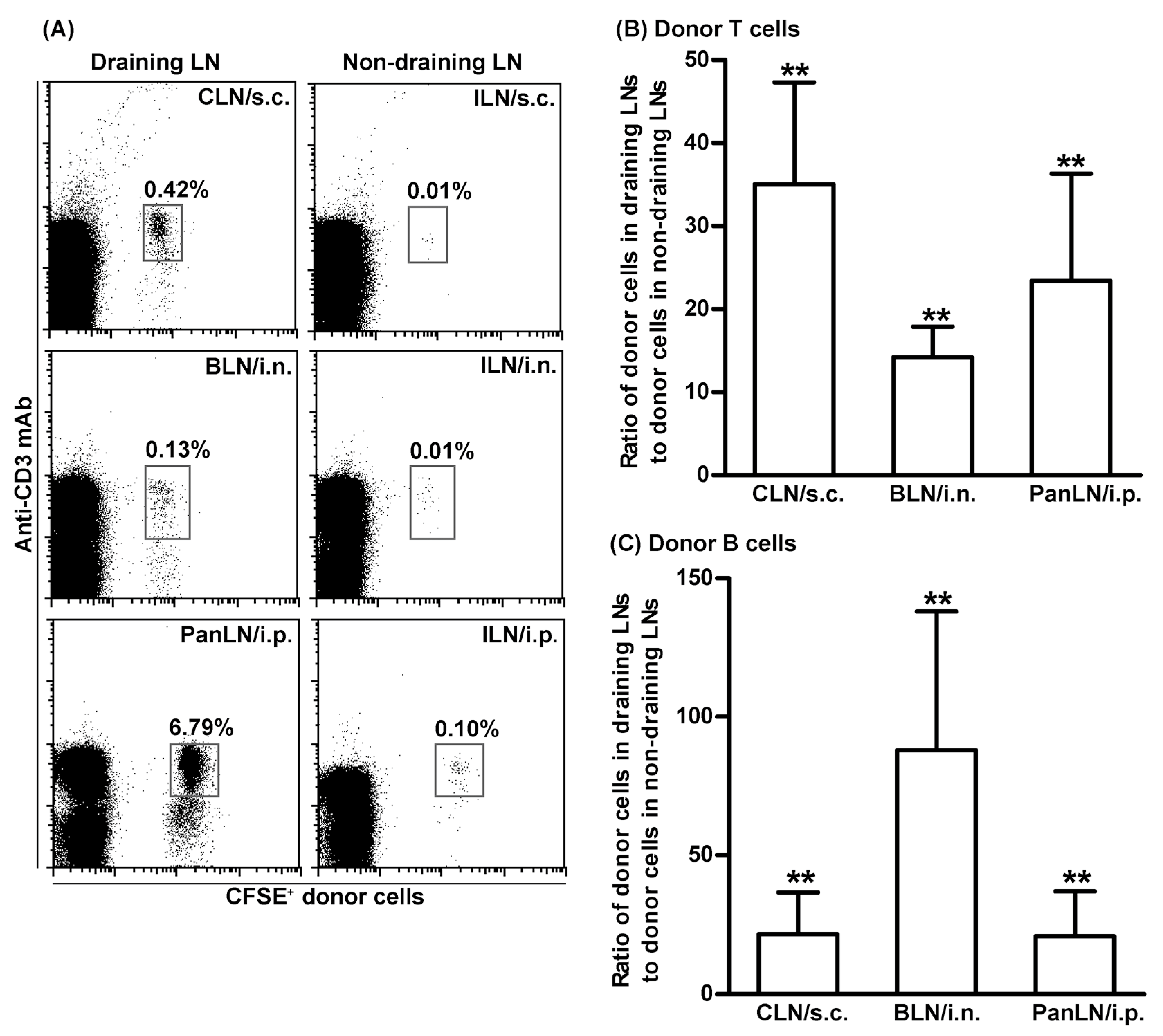 Biomolecules 13 01194 g002
