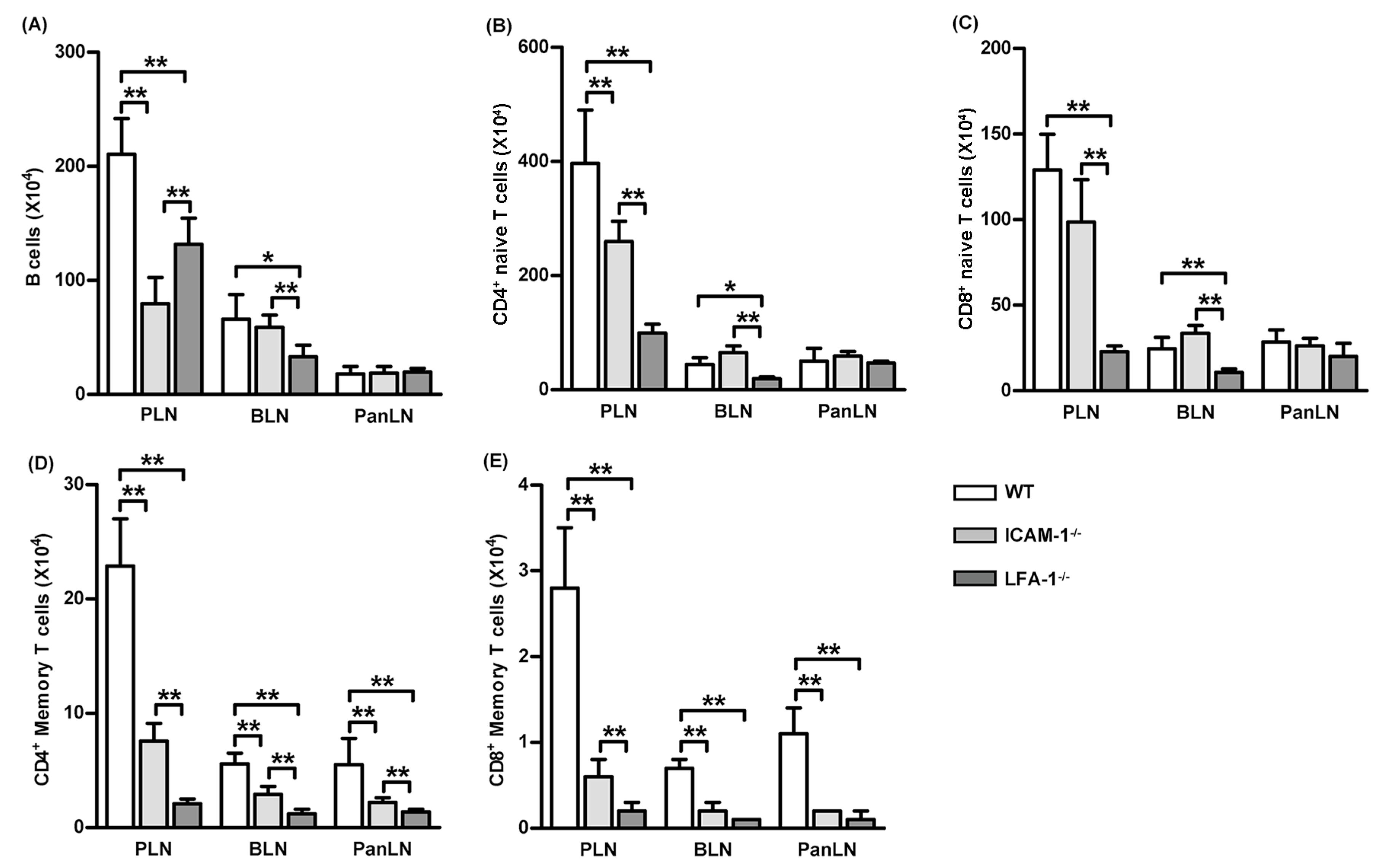 Biomolecules 13 01194 g006