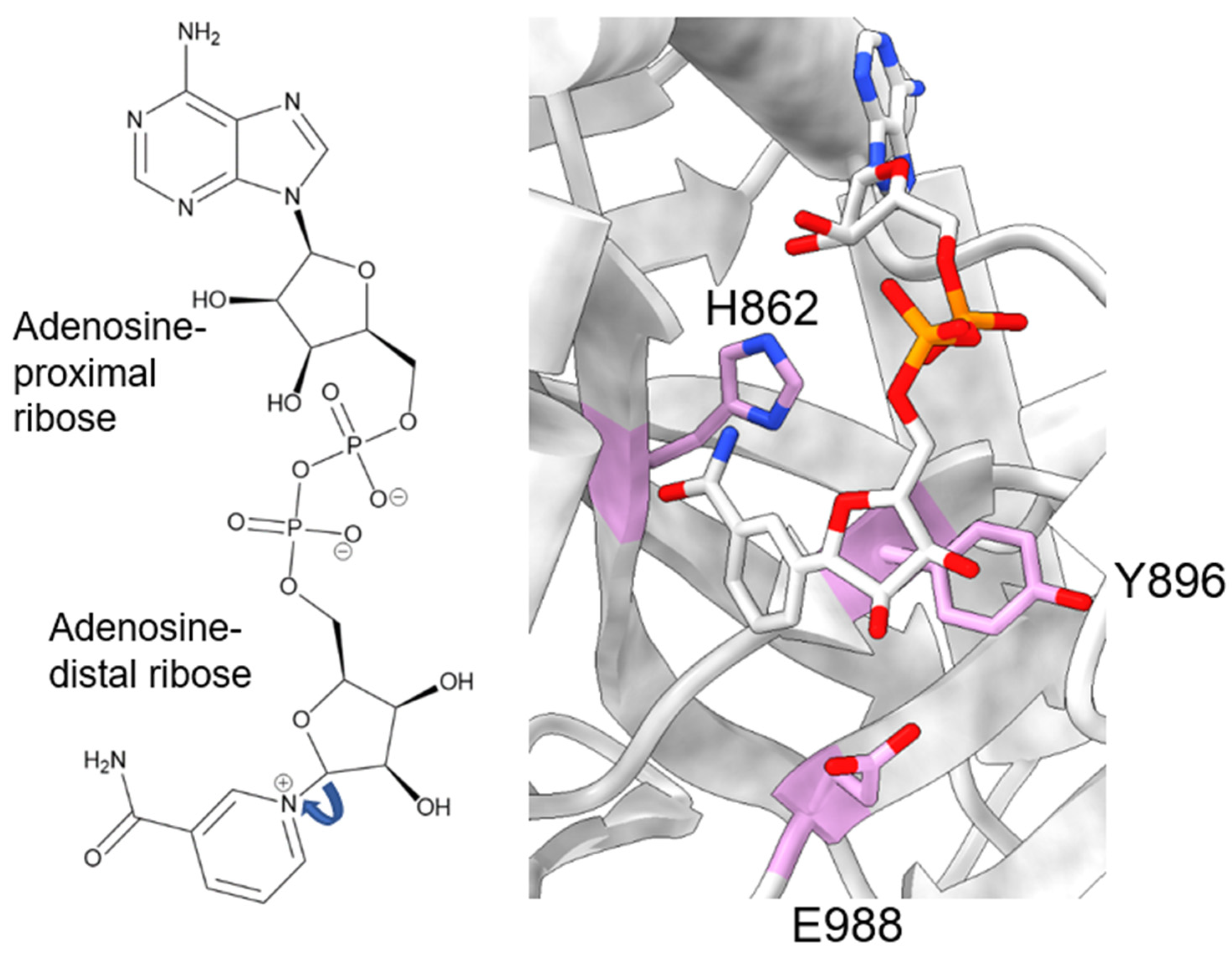Biomolecules 13 01195 g002