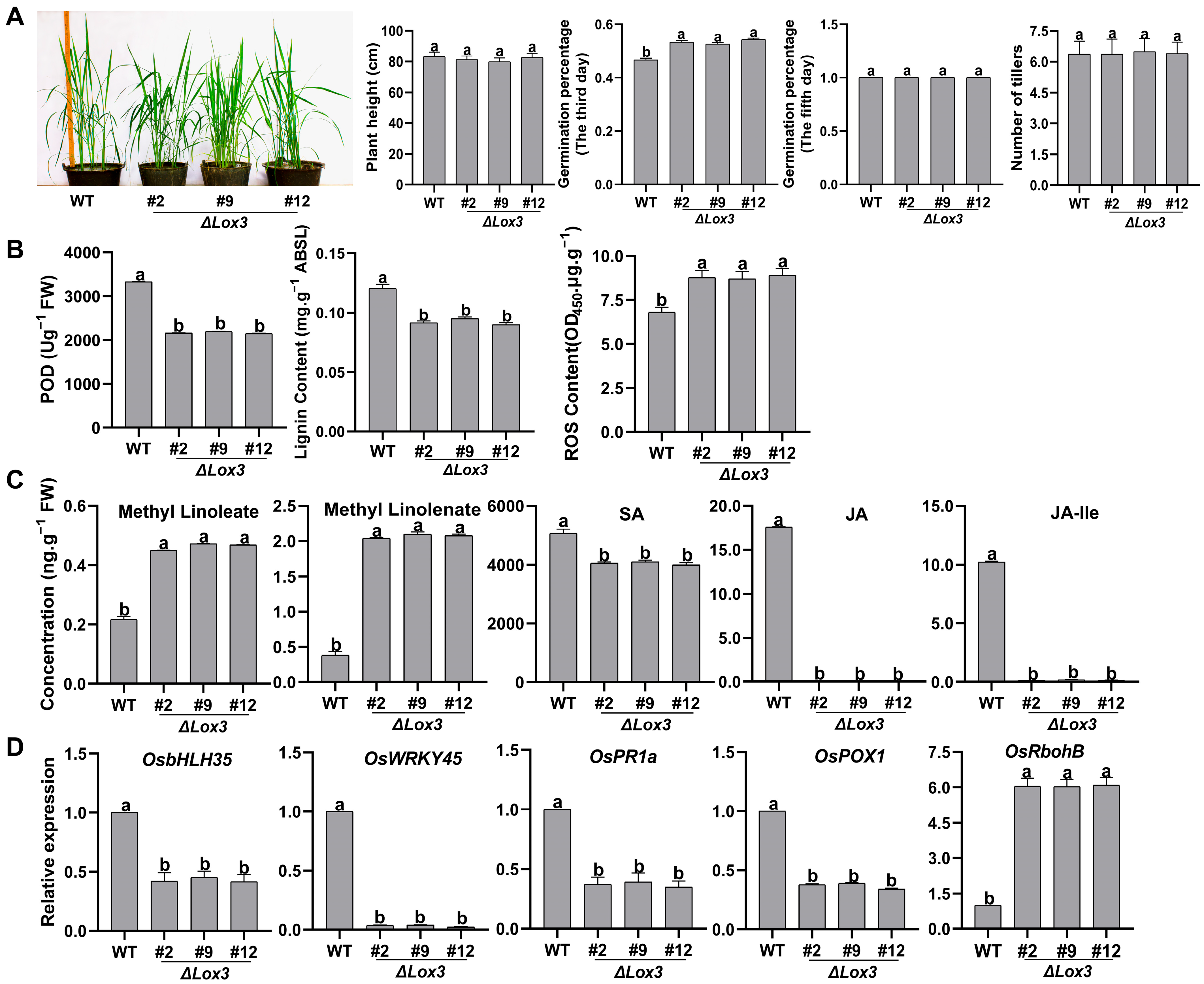 Biomolecules 13 01197 g001 Biomolecules 13 01197 g001