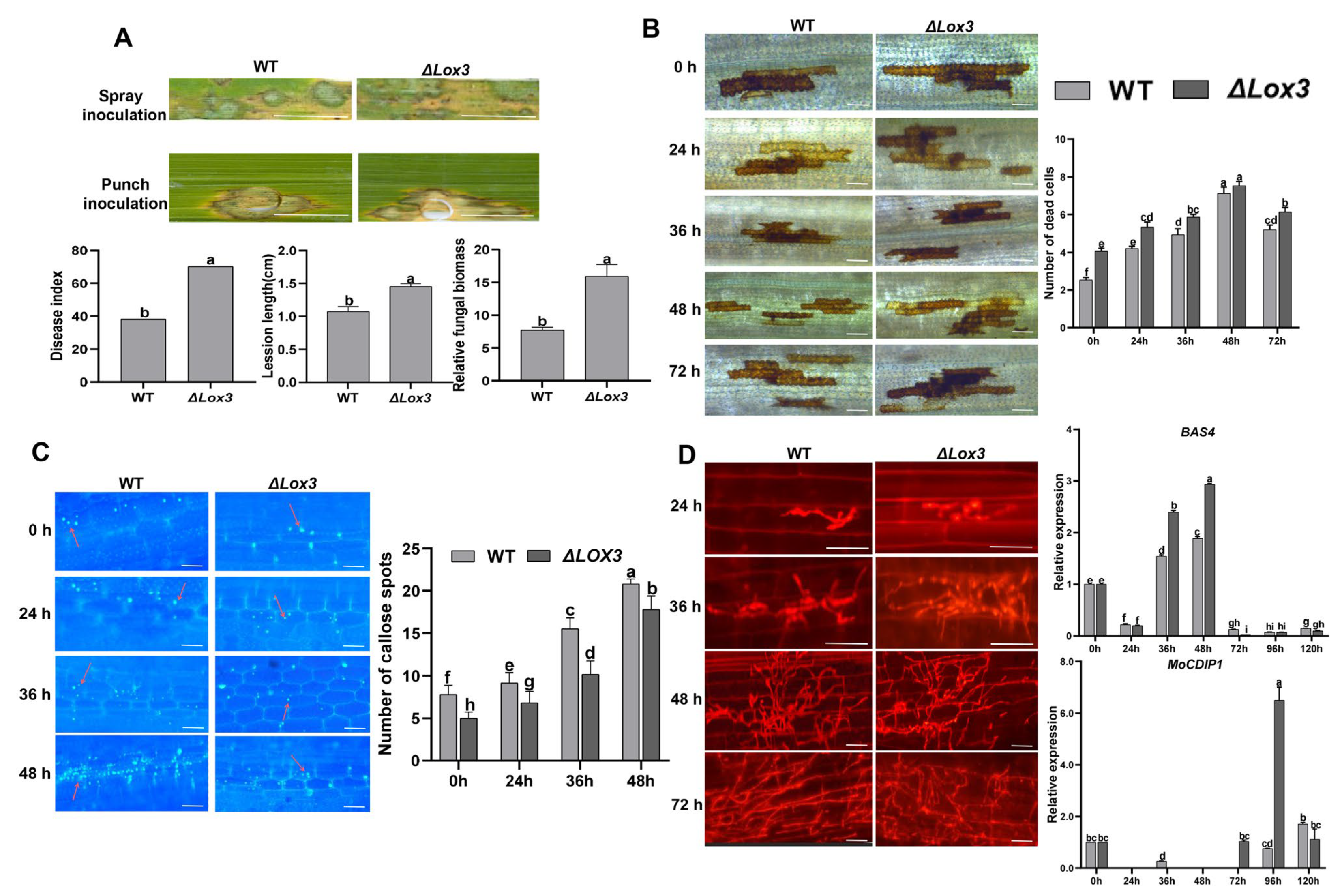 Biomolecules 13 01197 g002 Biomolecules 13 01197 g002