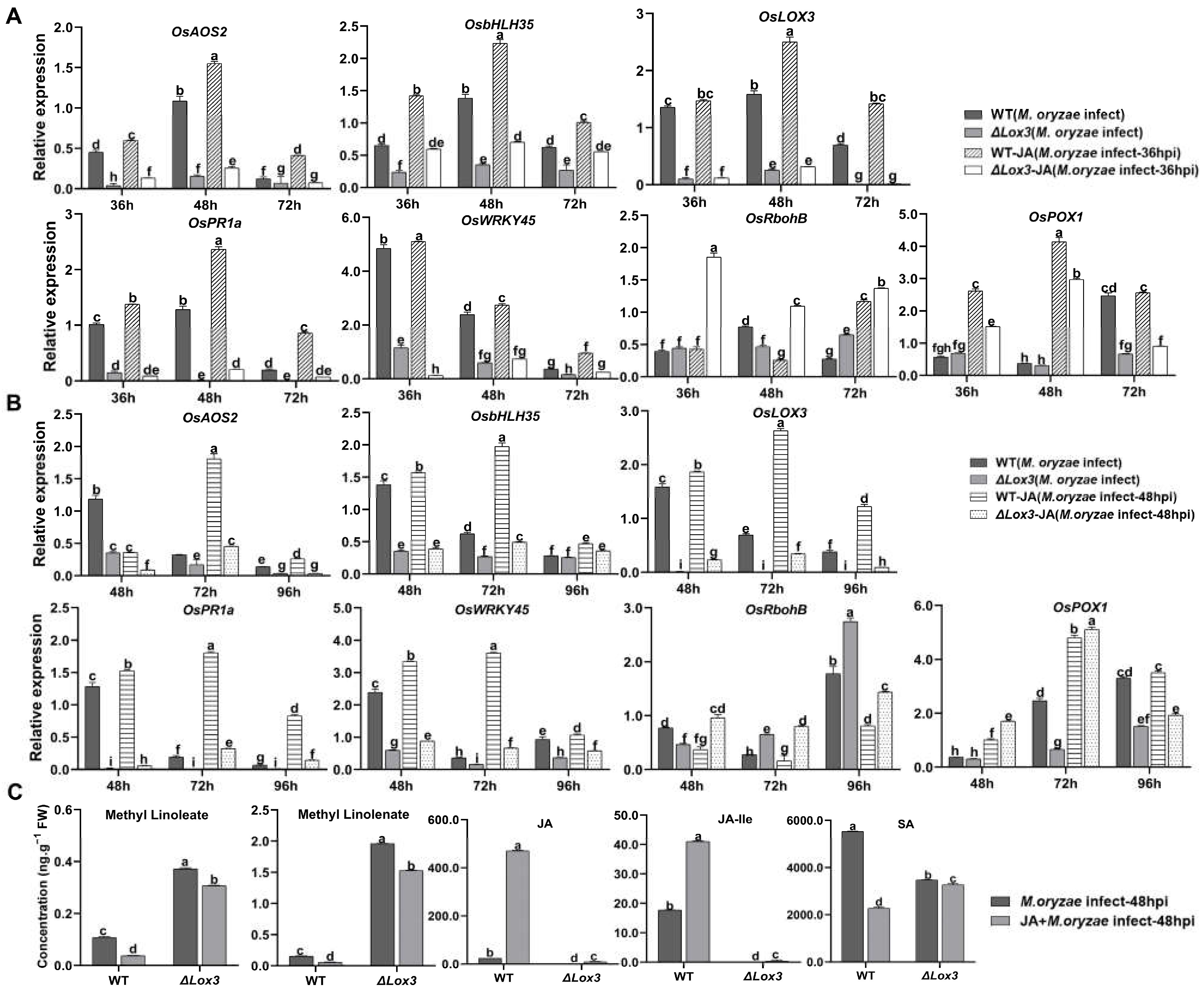 Biomolecules 13 01197 g005 Biomolecules 13 01197 g005