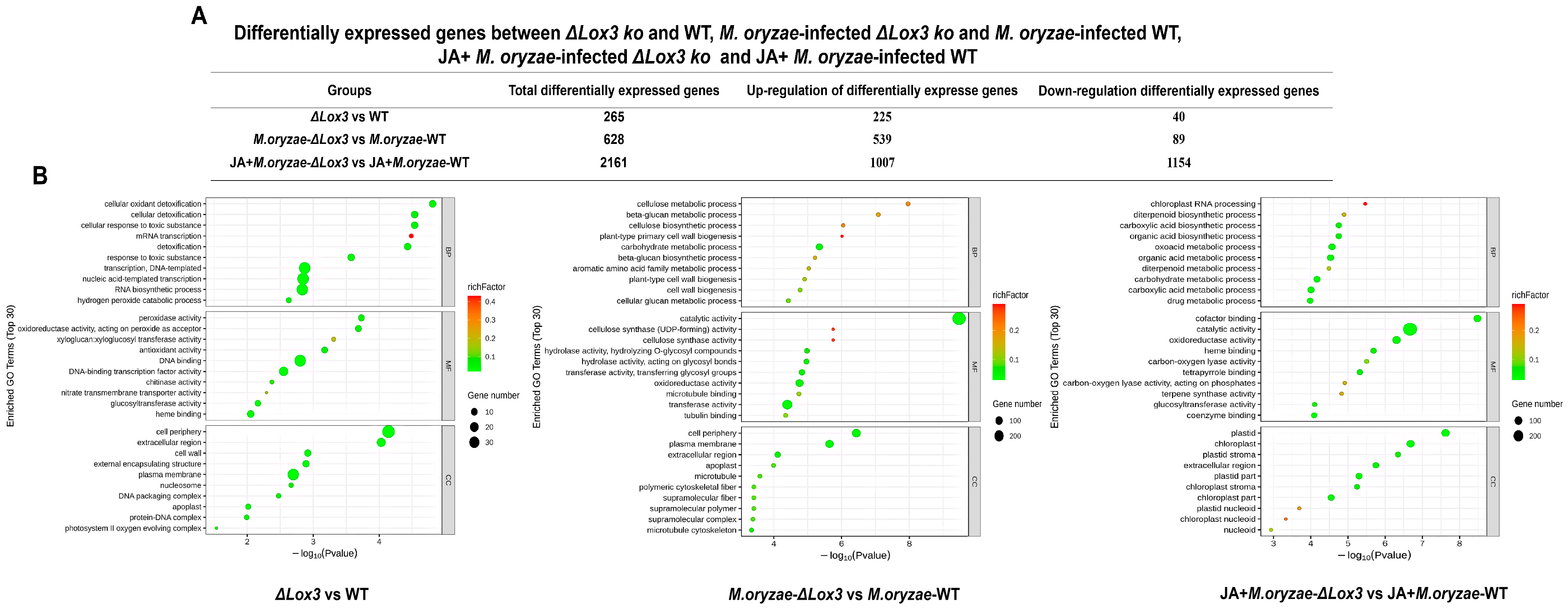 Biomolecules 13 01197 g006 Biomolecules 13 01197 g006