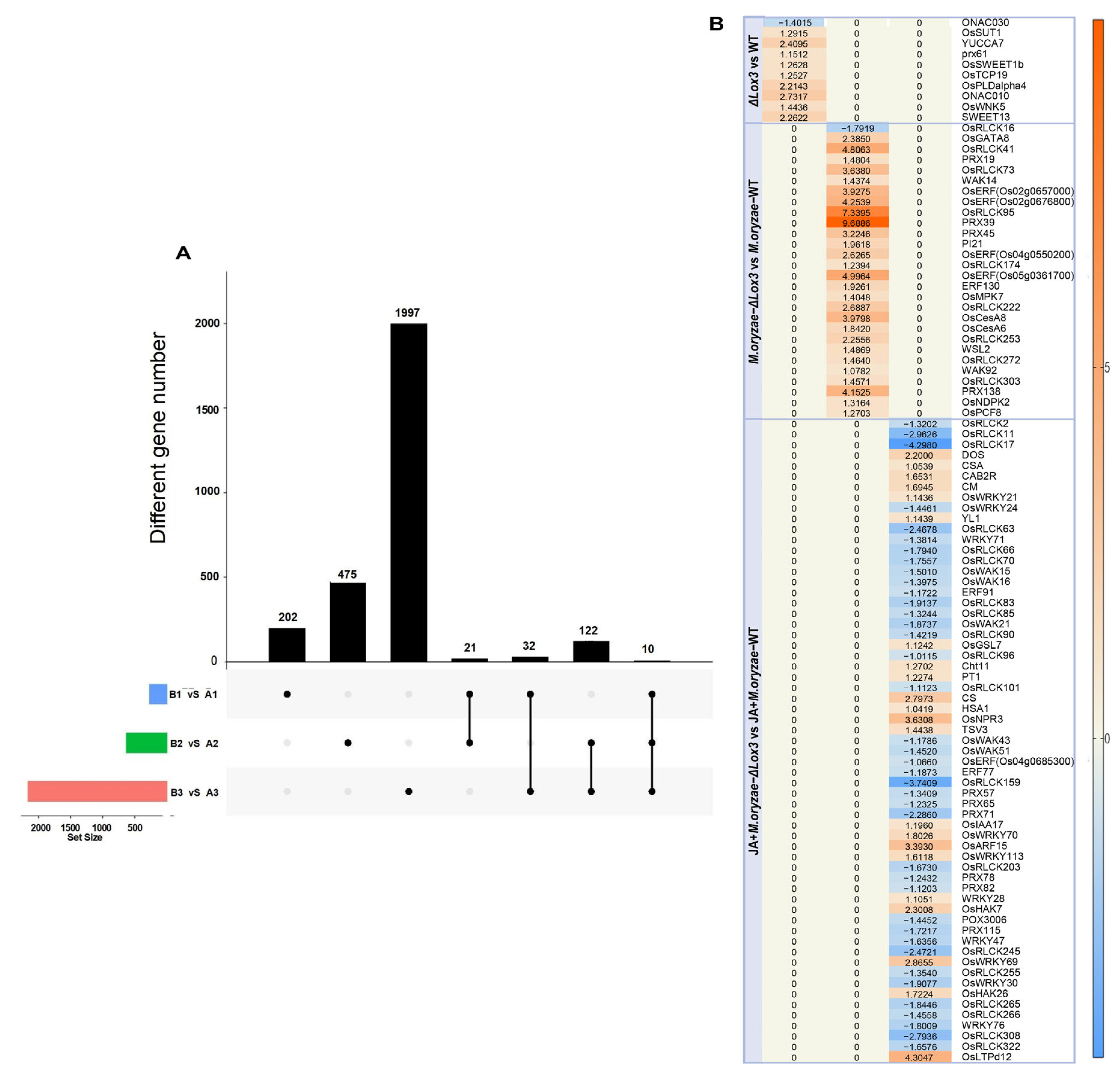Biomolecules 13 01197 g007 Biomolecules 13 01197 g007