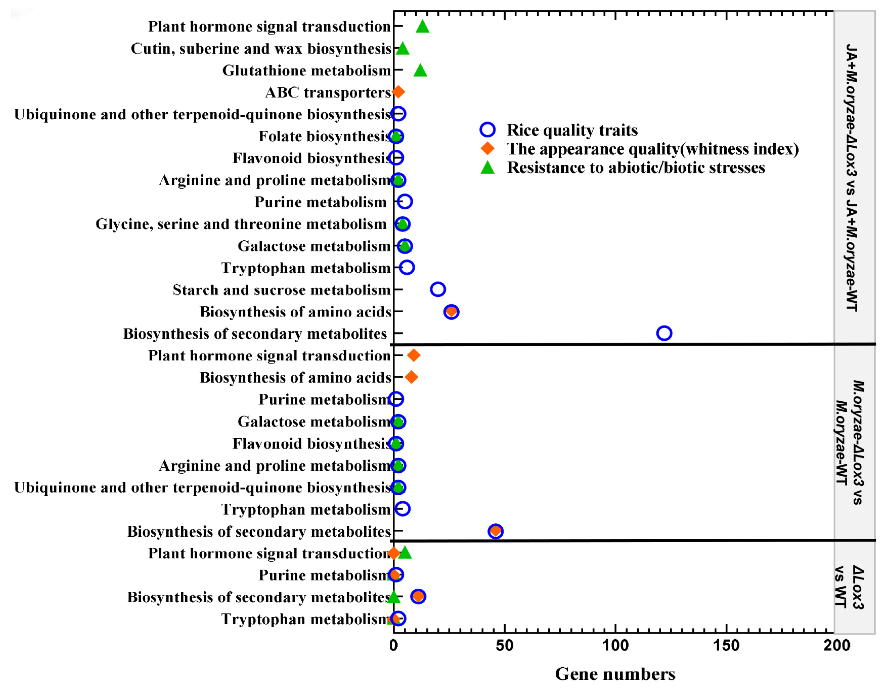 Biomolecules 13 01197 g008 Biomolecules 13 01197 g008