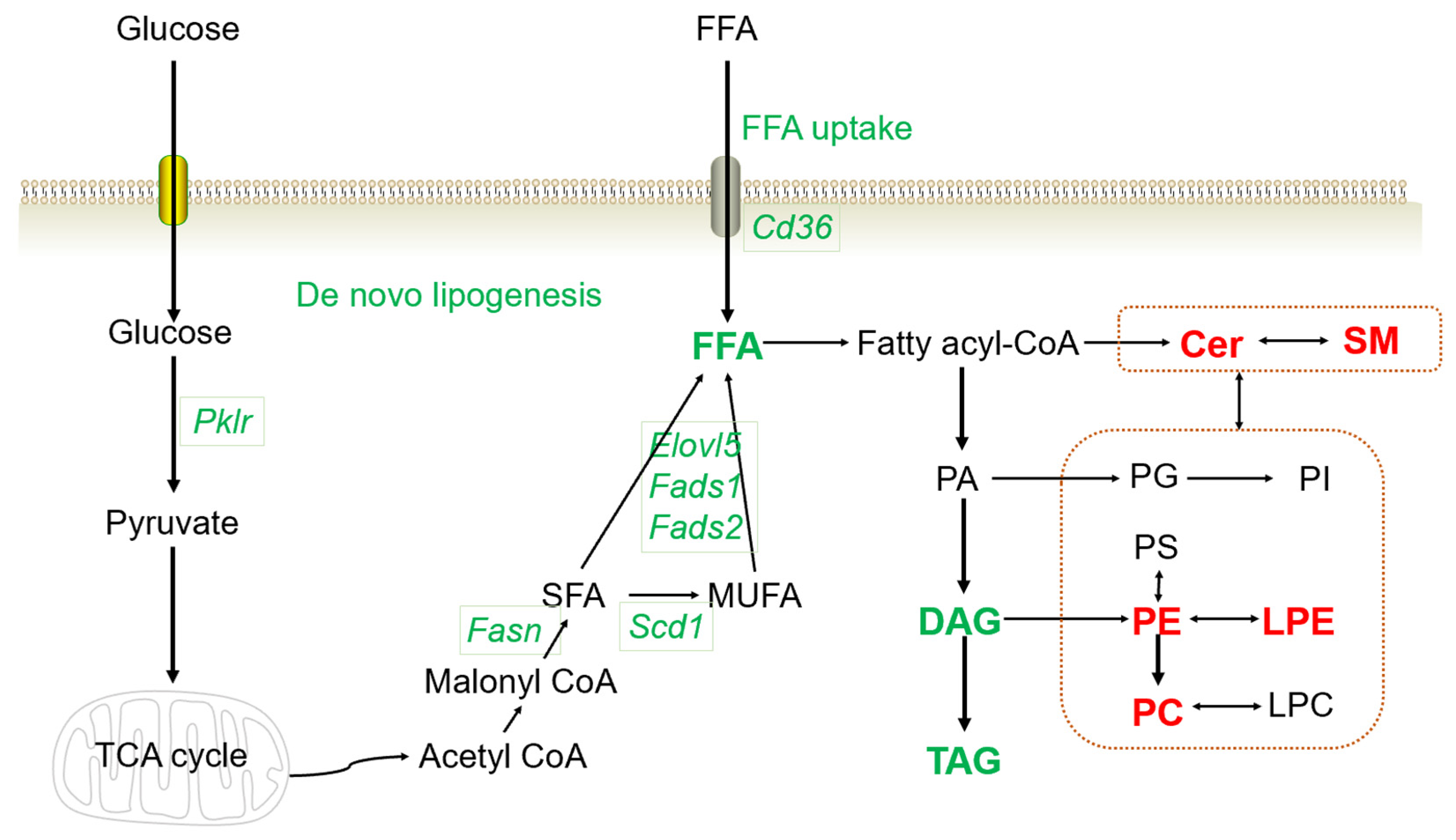 Biomolecules 13 01199 g006