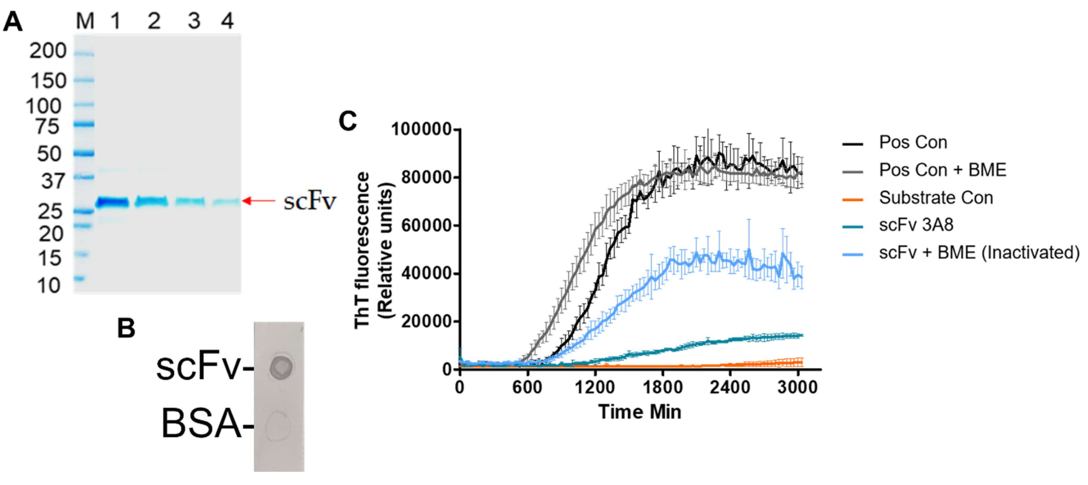 Biomolecules 13 01203 g001