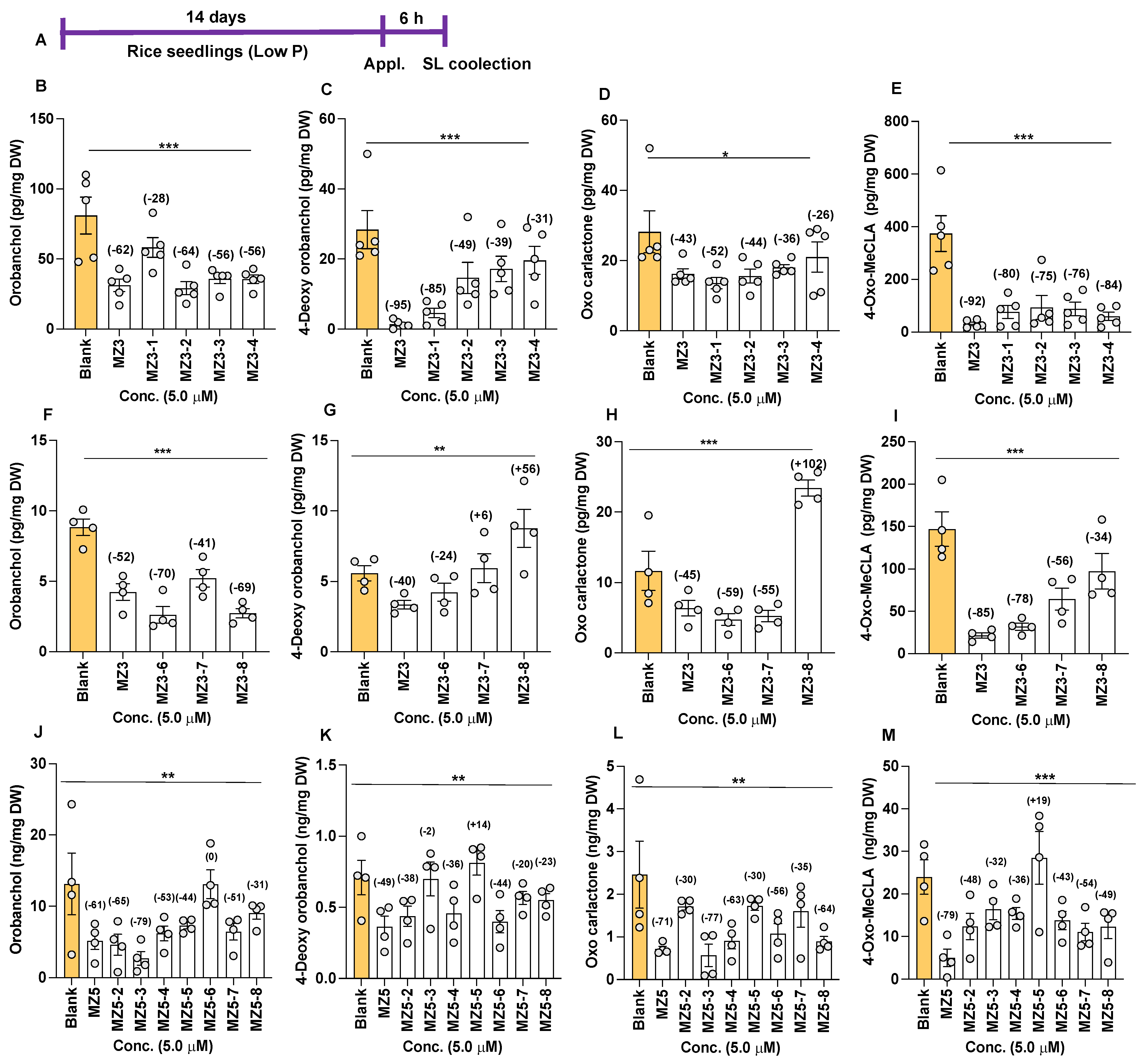 Biomolecules 13 01206 g008