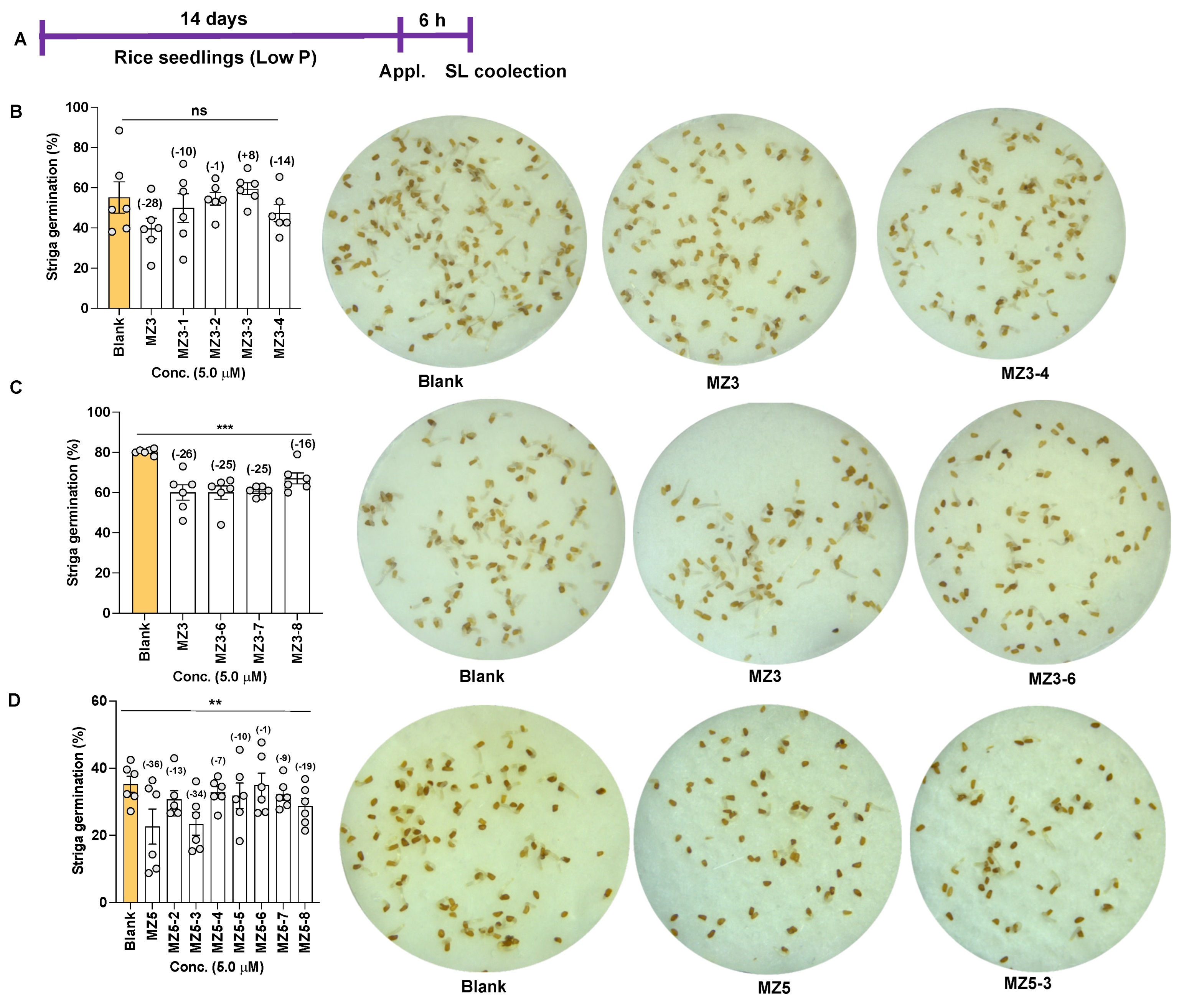 Biomolecules 13 01206 g010
