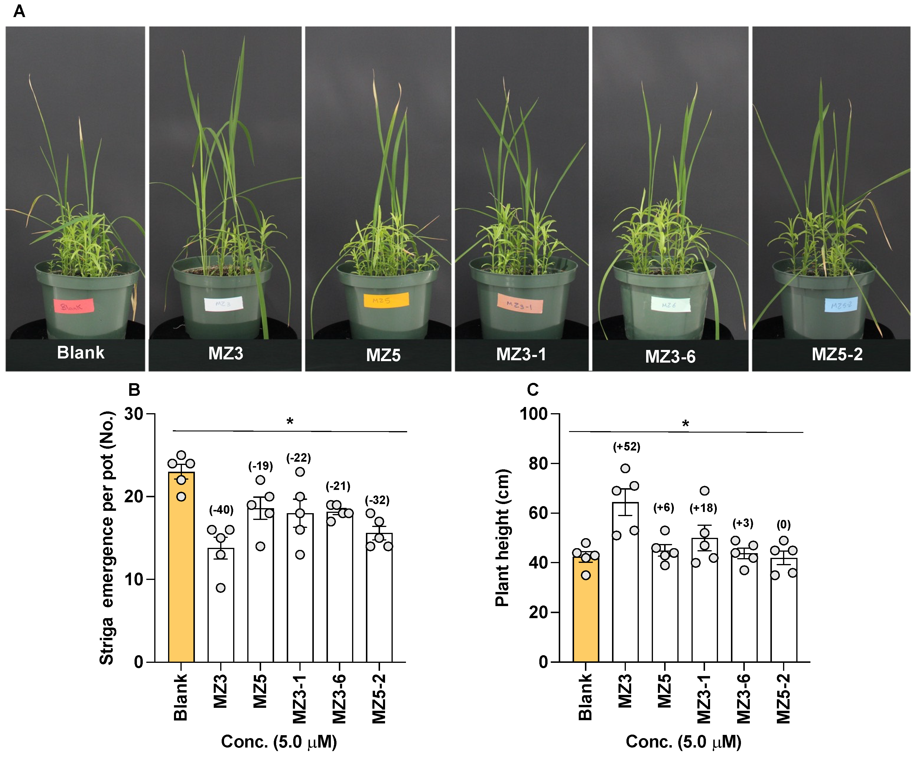 Biomolecules 13 01206 g011