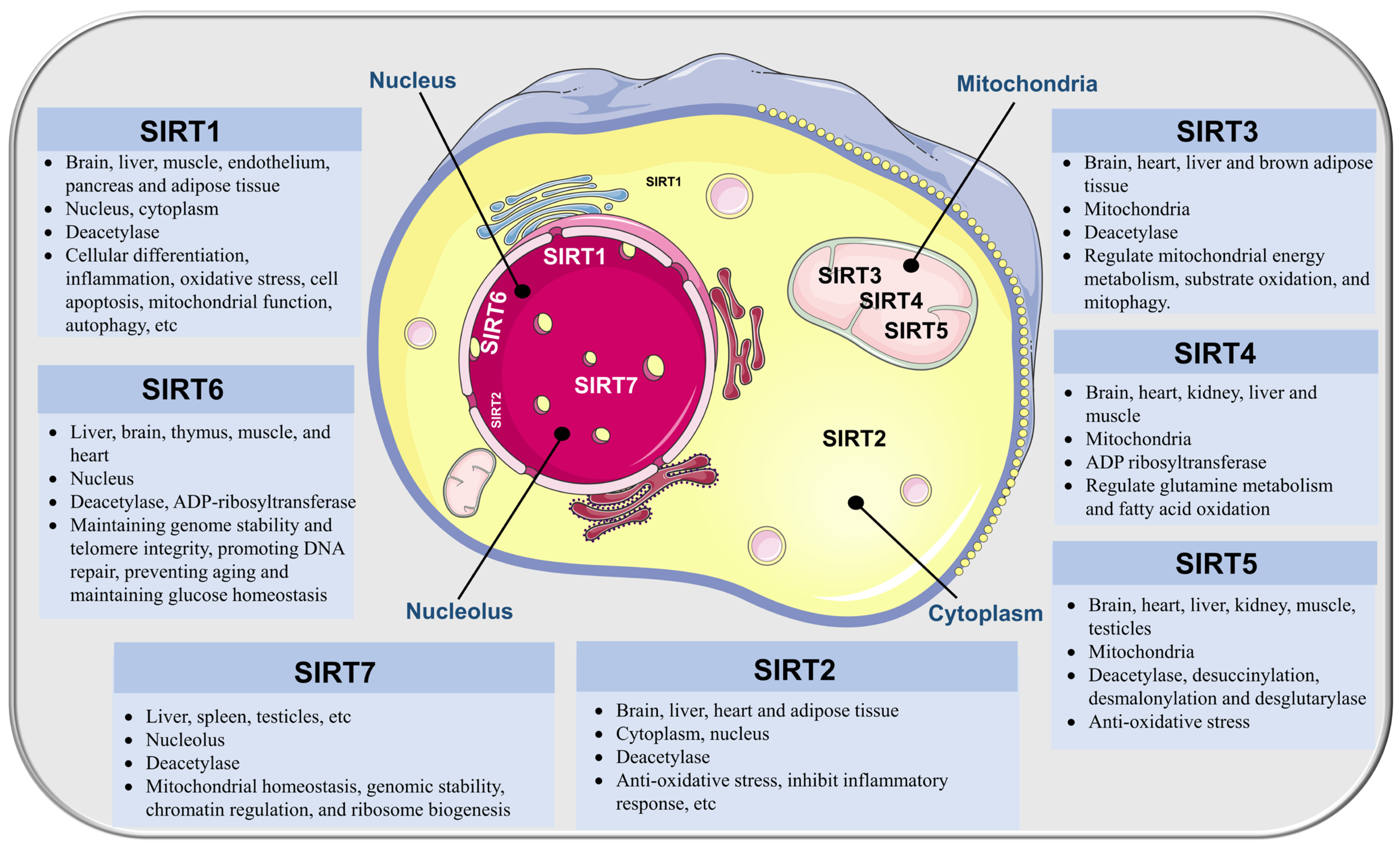 Biomolecules 13 01210 g001