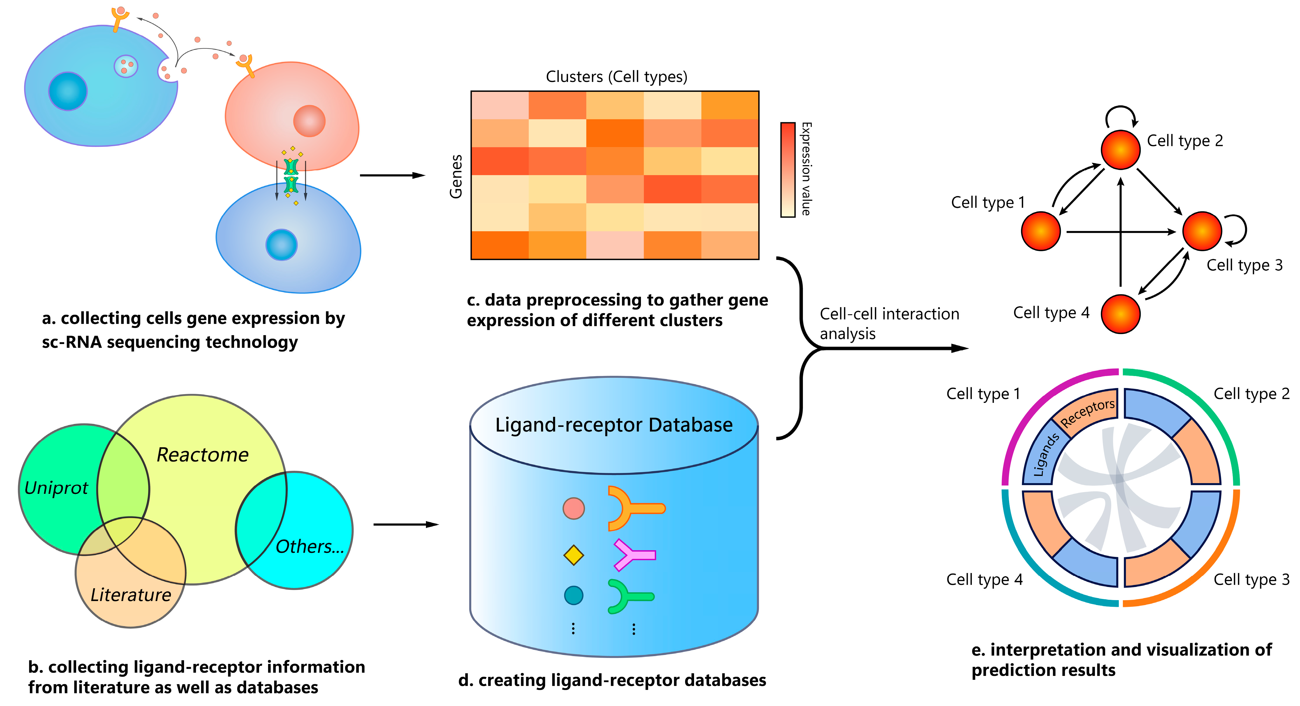 Biomolecules 13 01211 g001