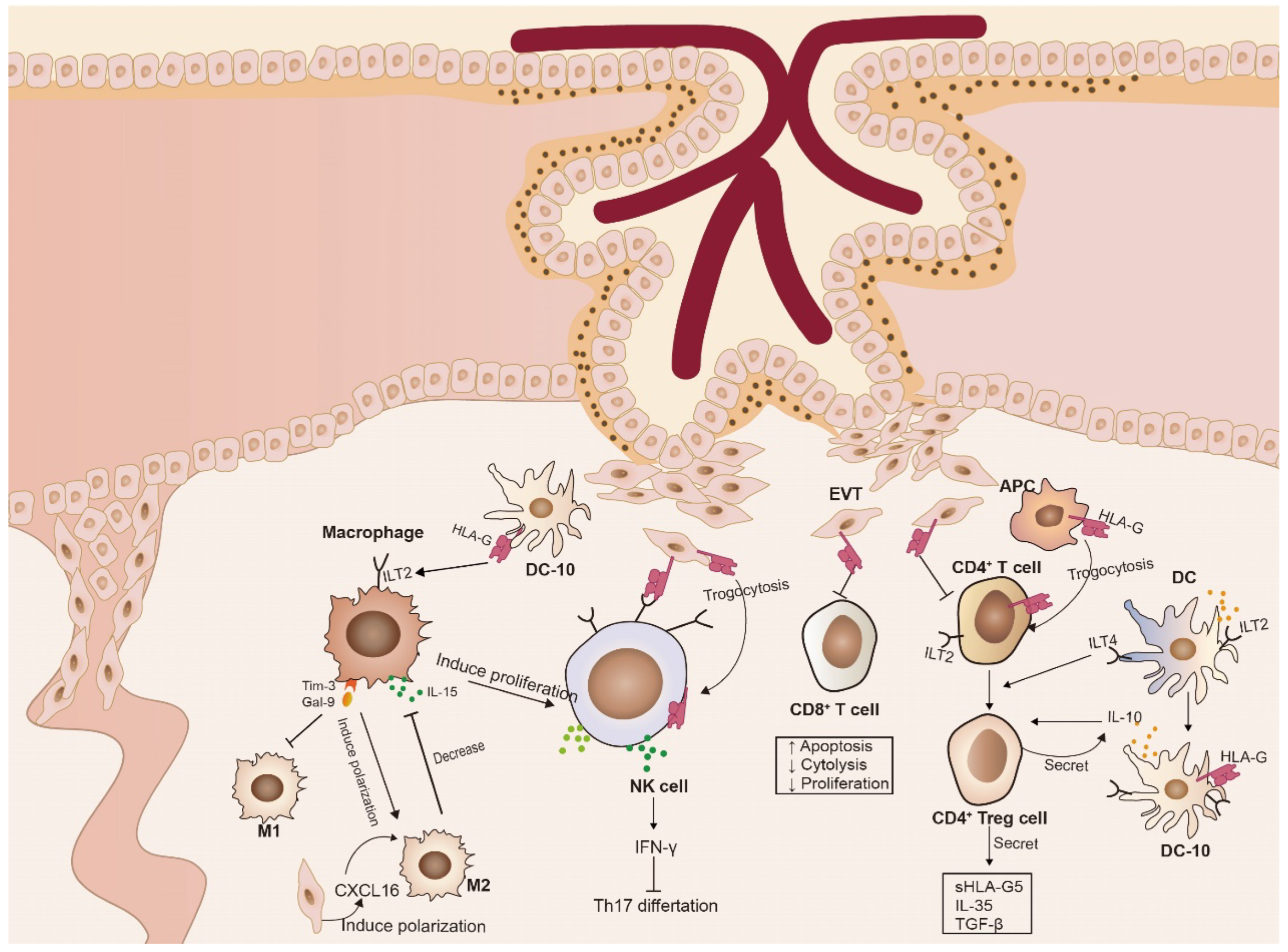 Biomolecules 13 01213 g001