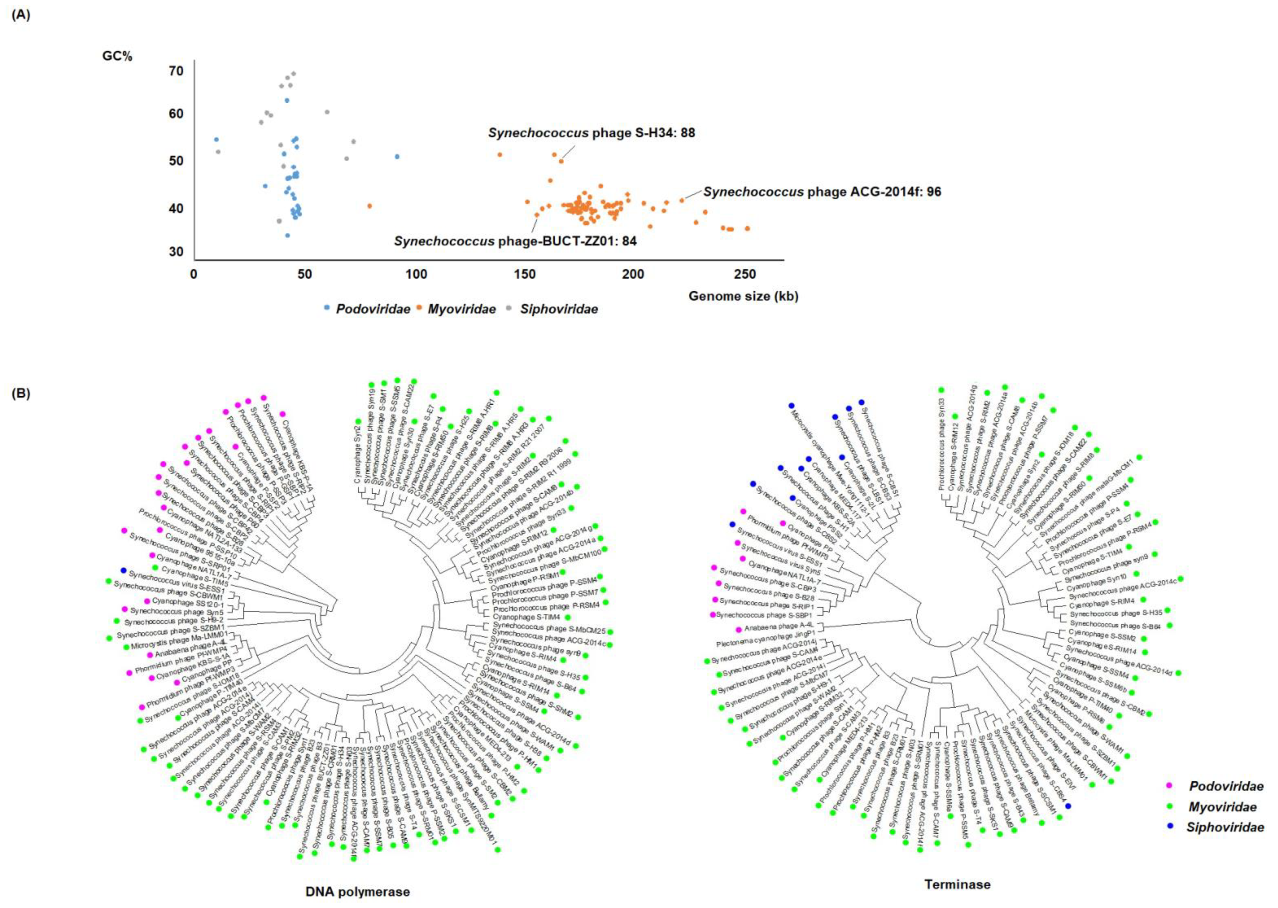 Biomolecules 13 01218 g001