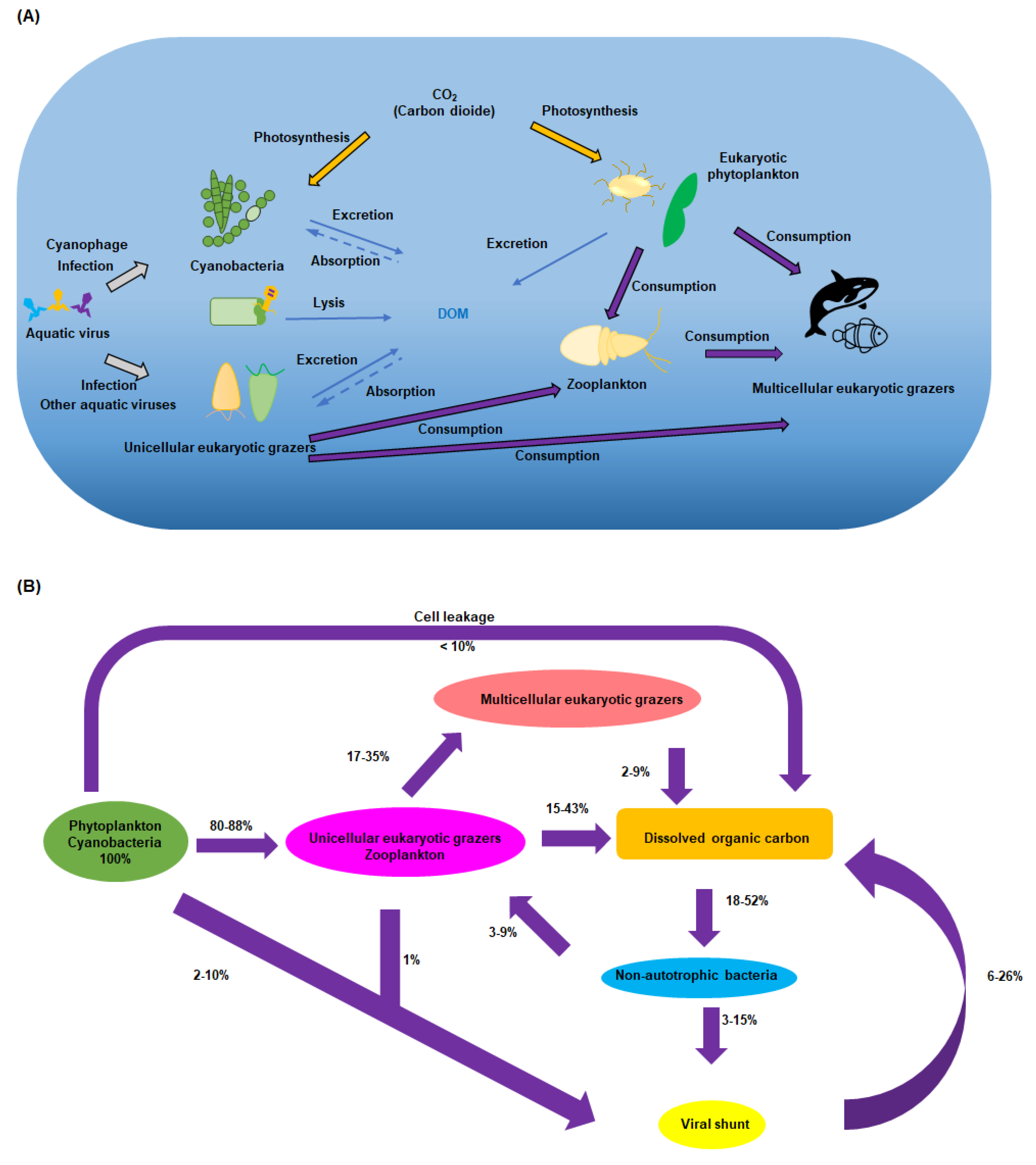 Biomolecules 13 01218 sch001