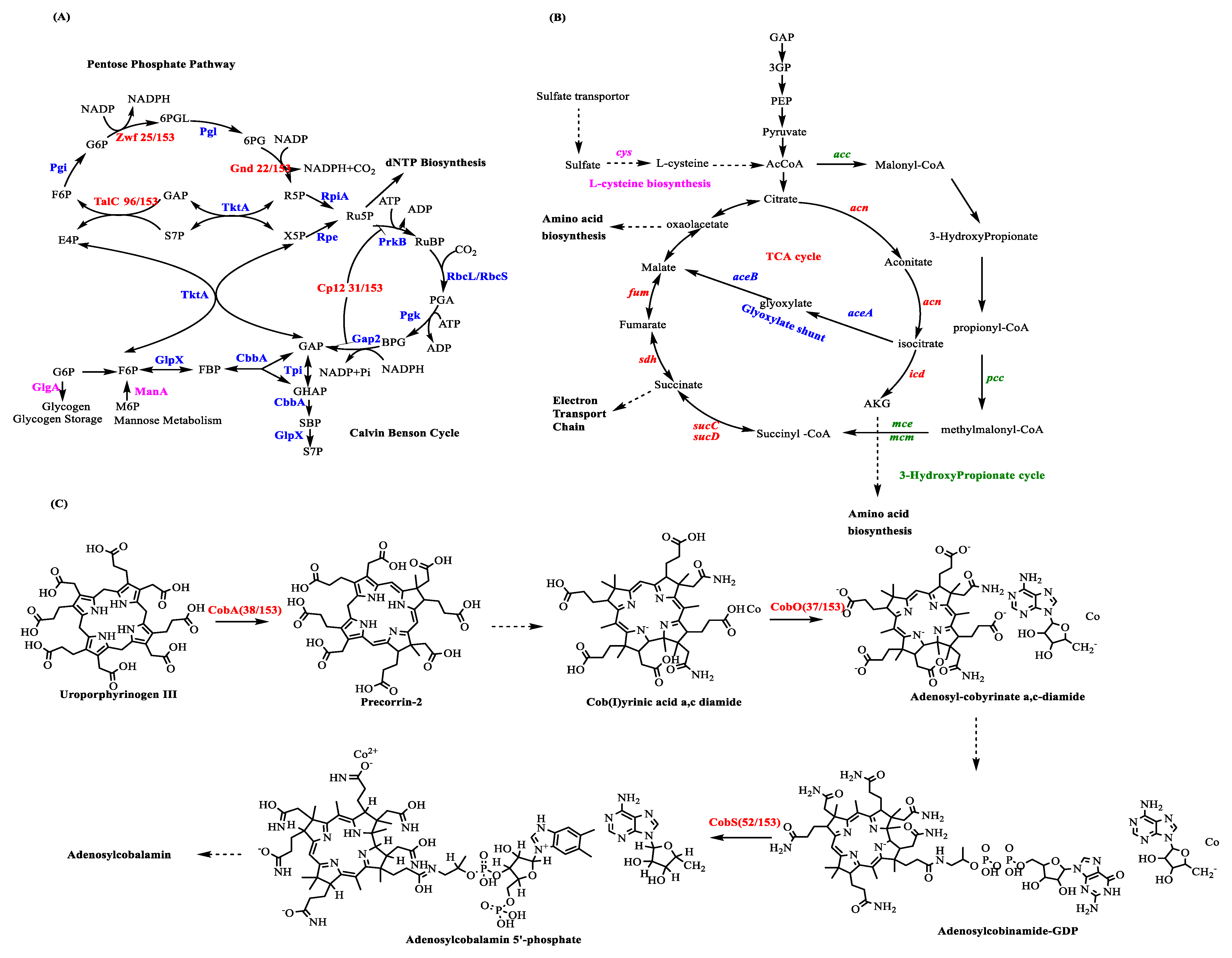 Biomolecules 13 01218 sch002