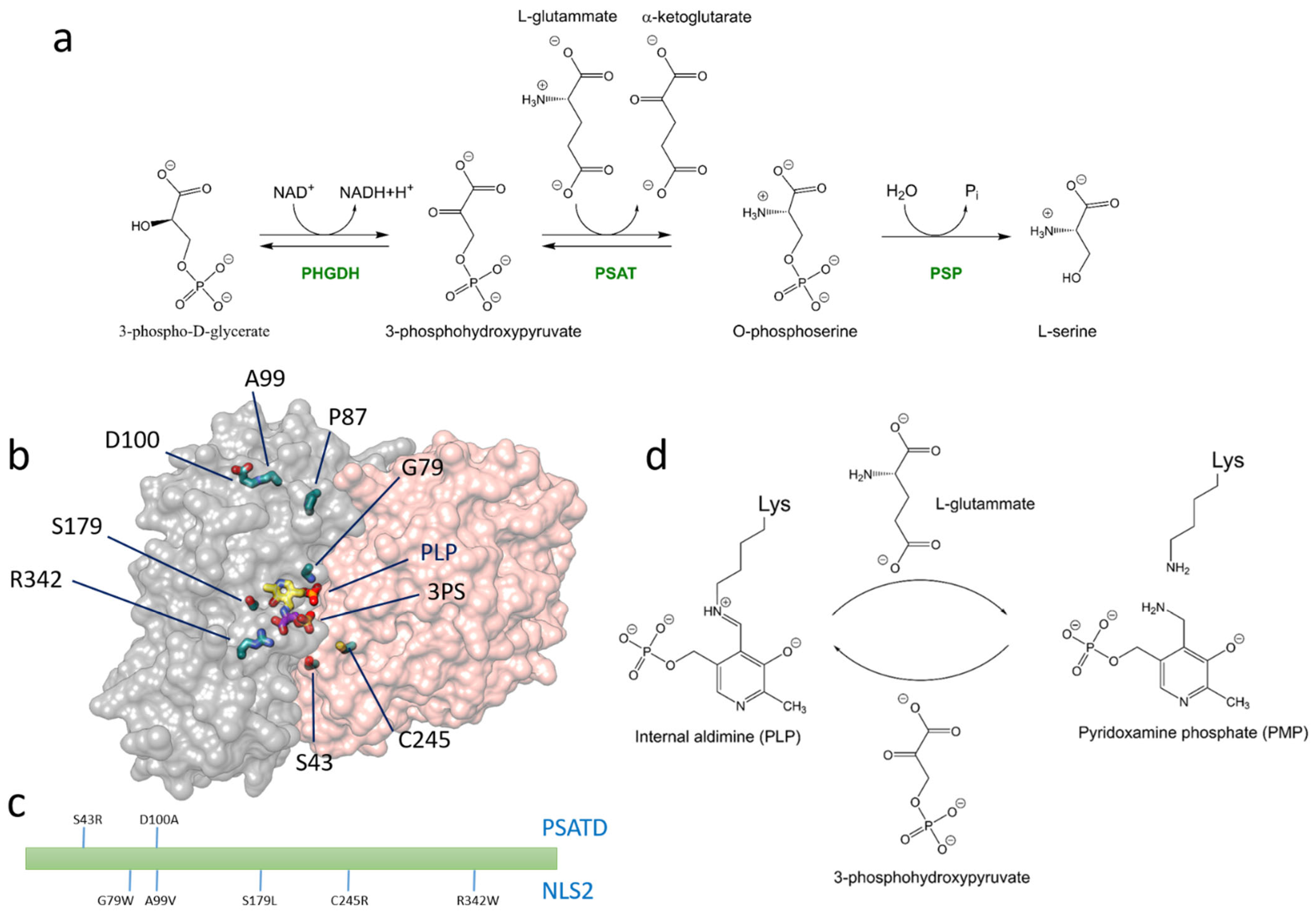 Biomolecules 13 01219 g001