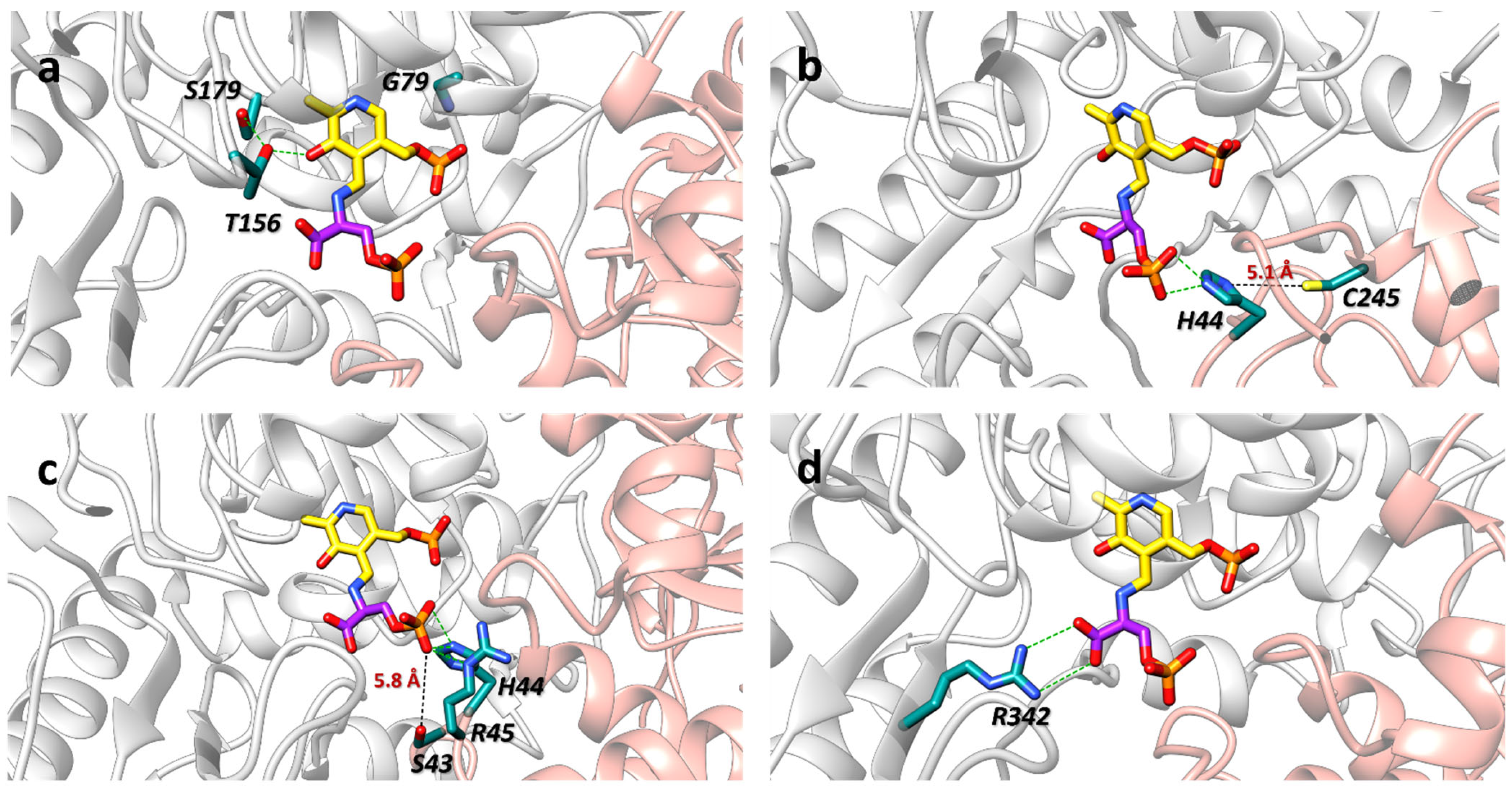 Biomolecules 13 01219 g005