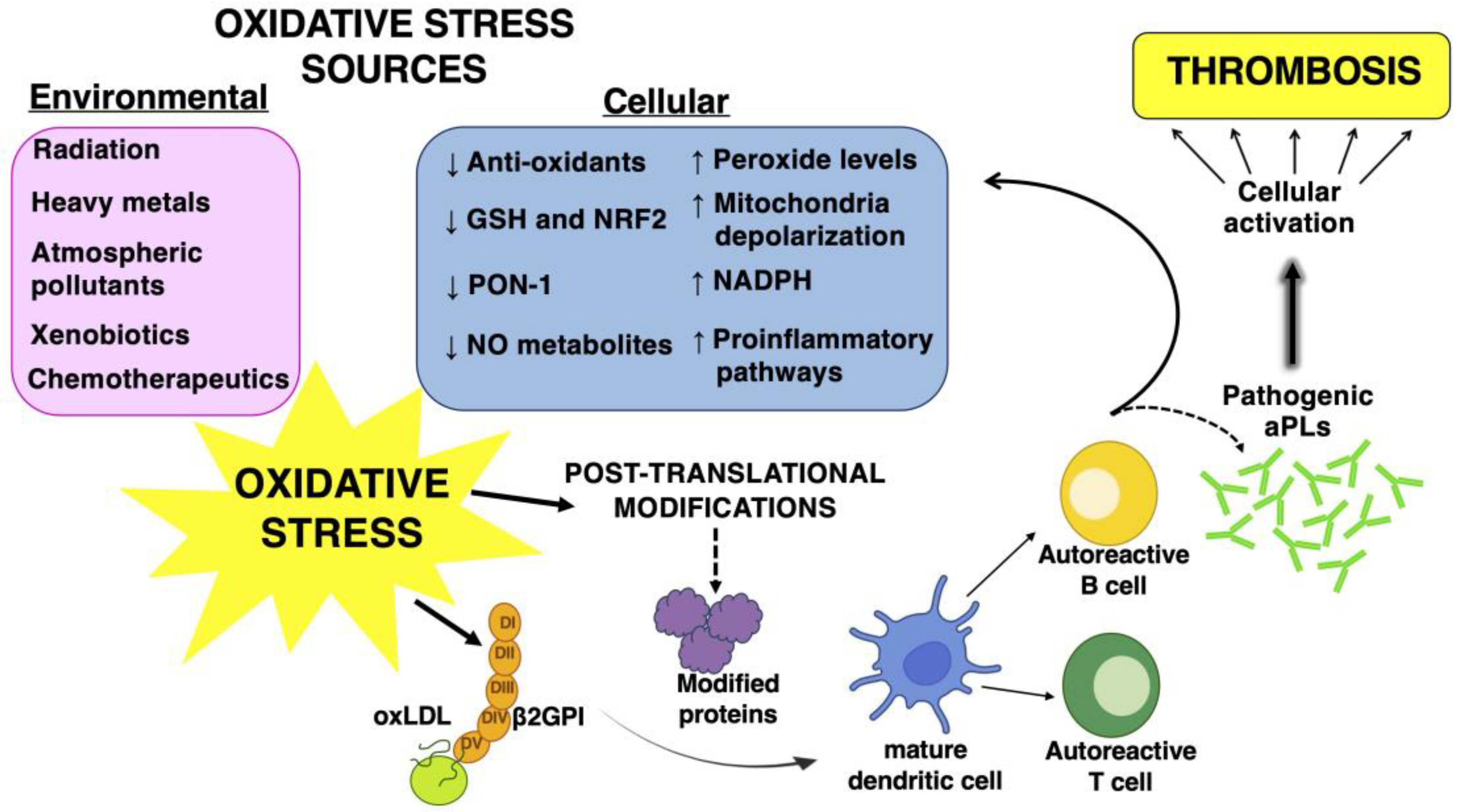 Biomolecules 13 01221 g001 Biomolecules 13 01221 g001