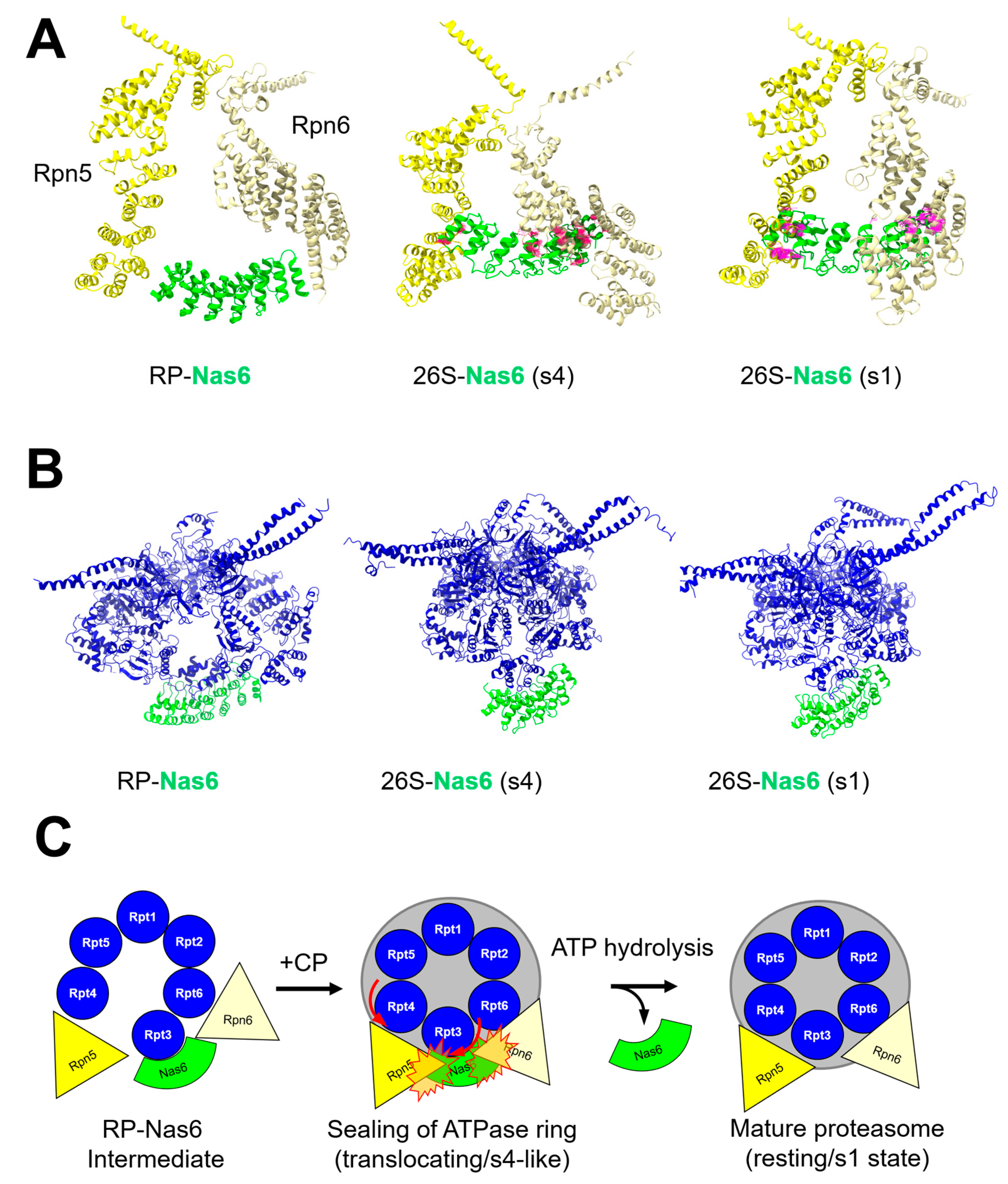 Biomolecules 13 01223 g007