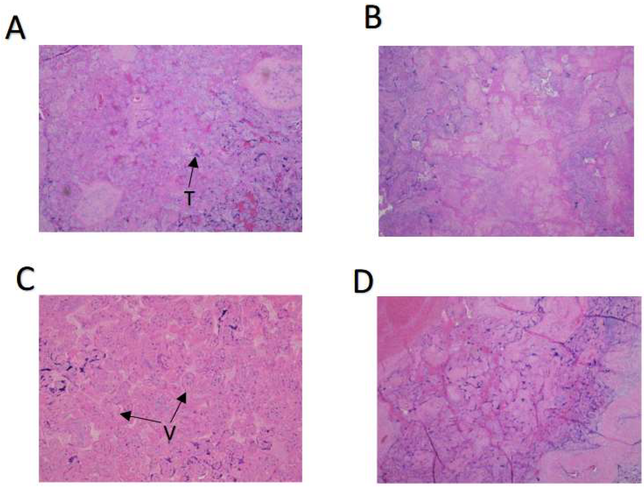Biomolecules 13 01224 g001