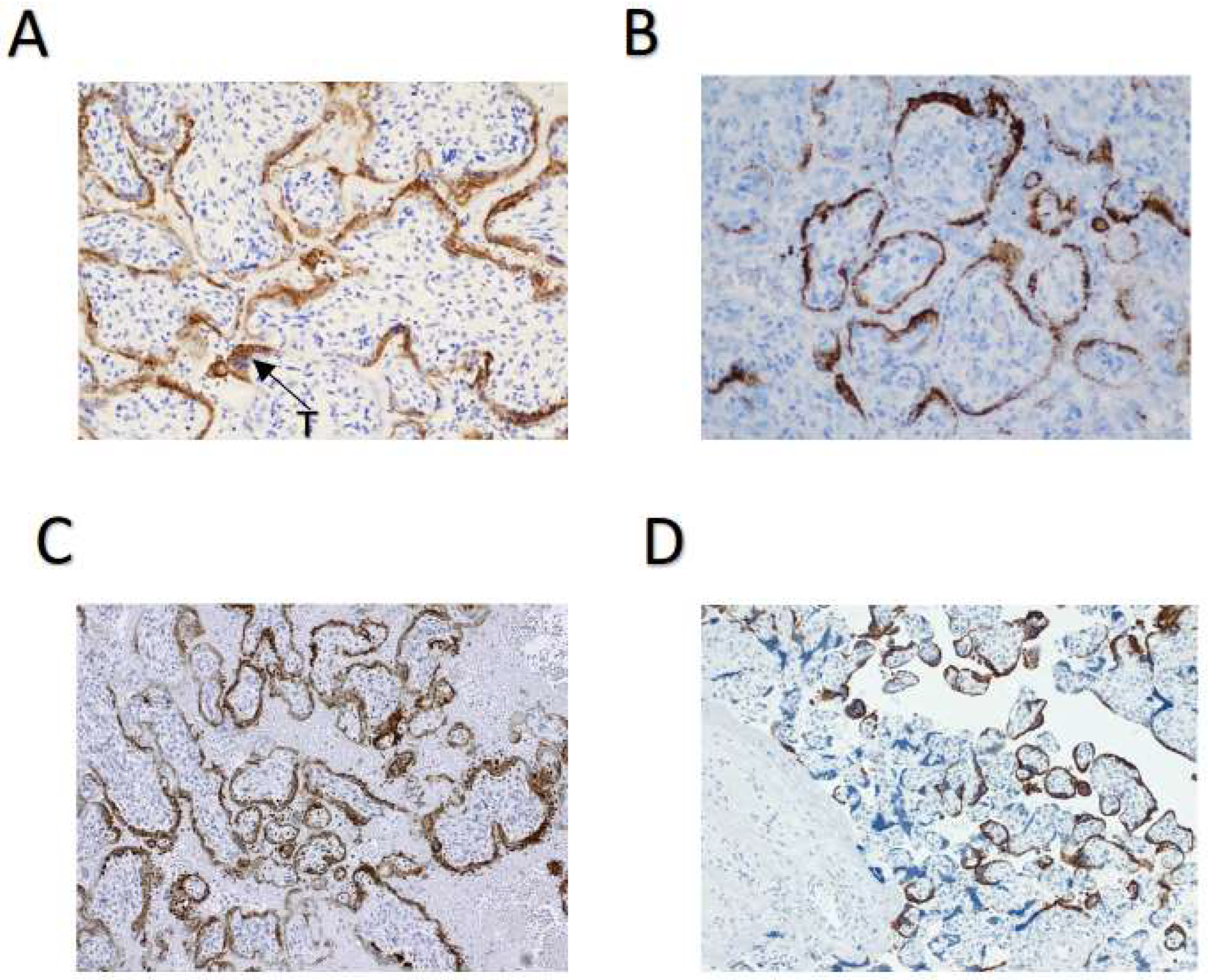 Biomolecules 13 01224 g002