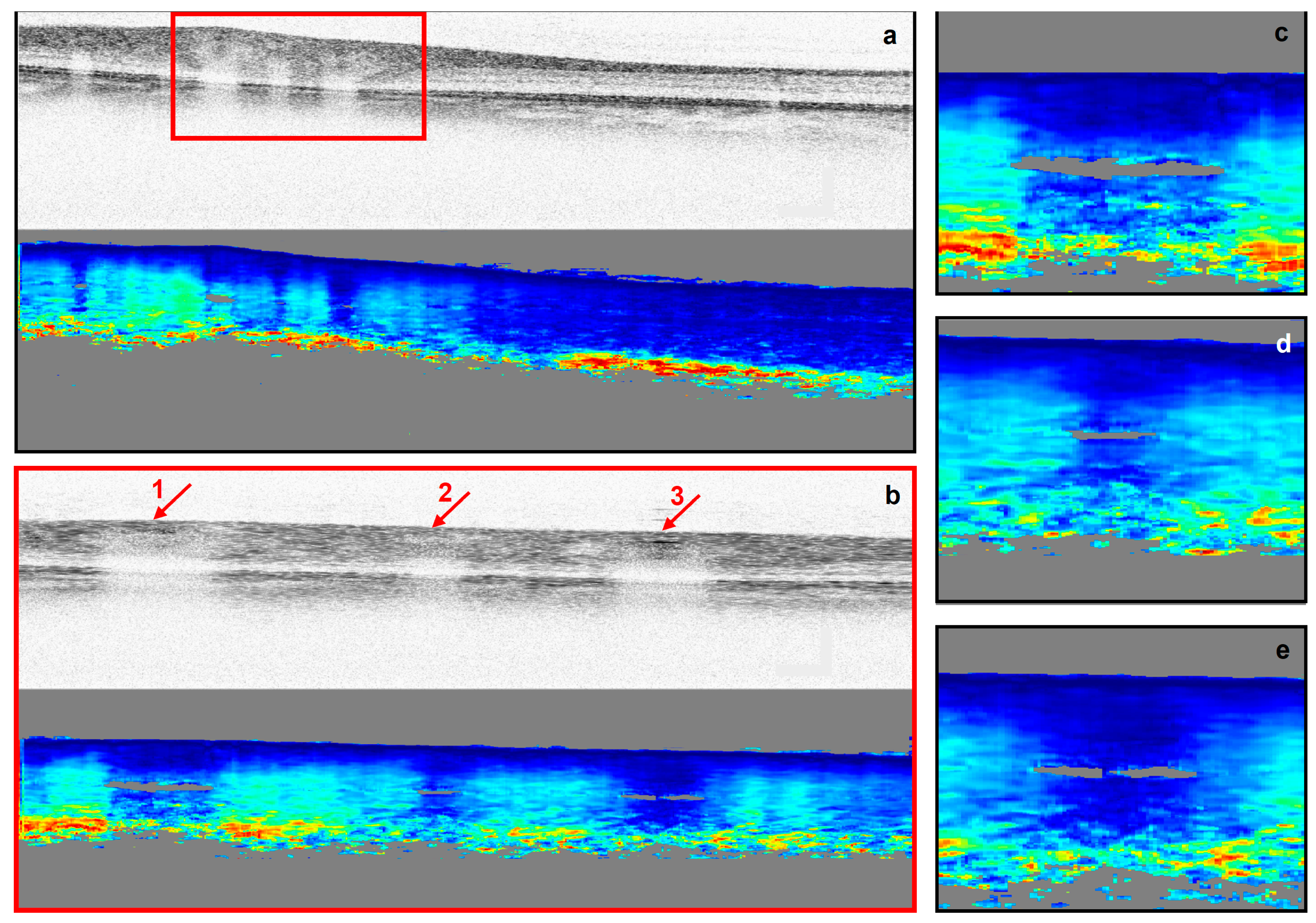 Biomolecules 13 01230 g001