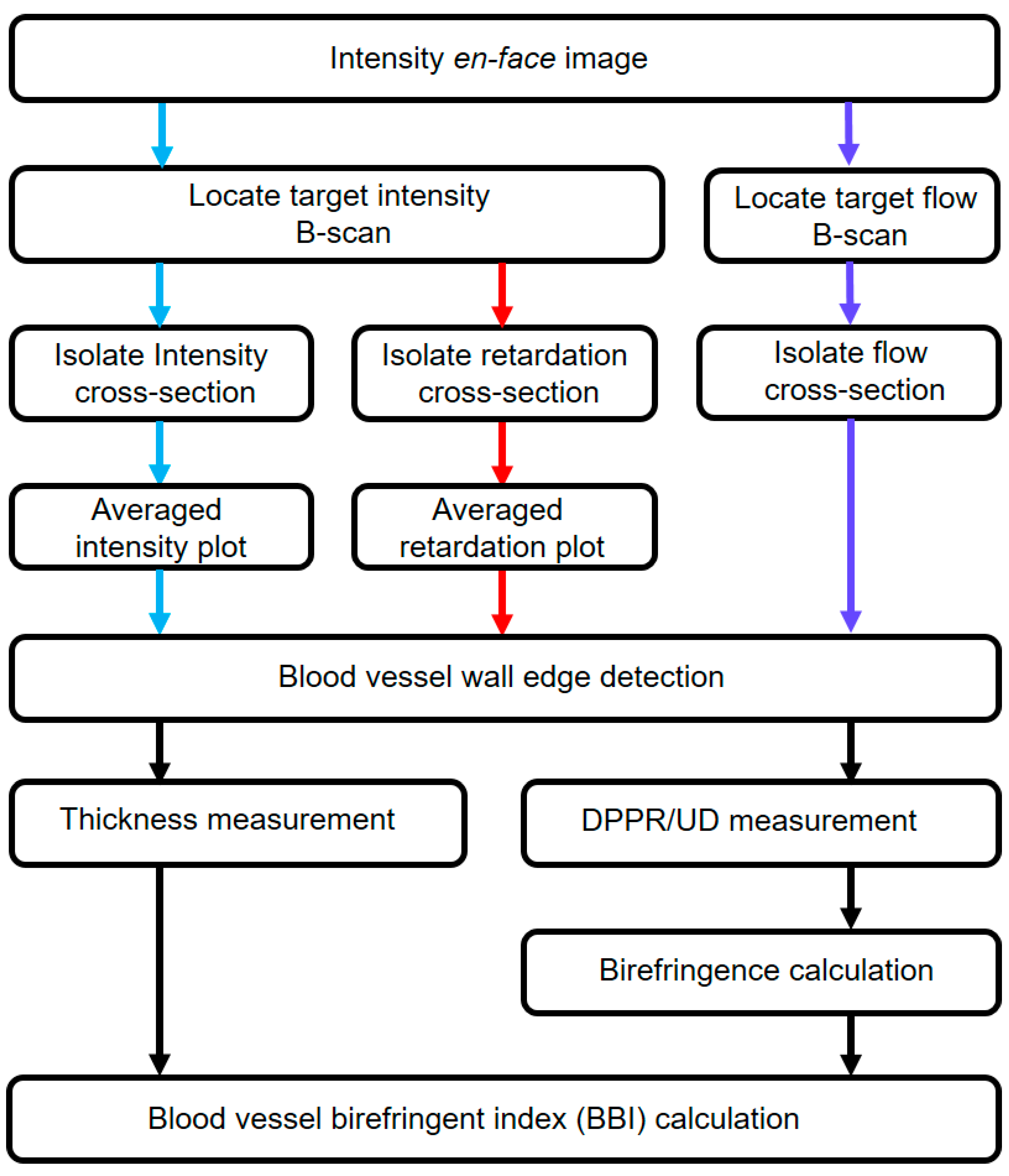 Biomolecules 13 01230 g002