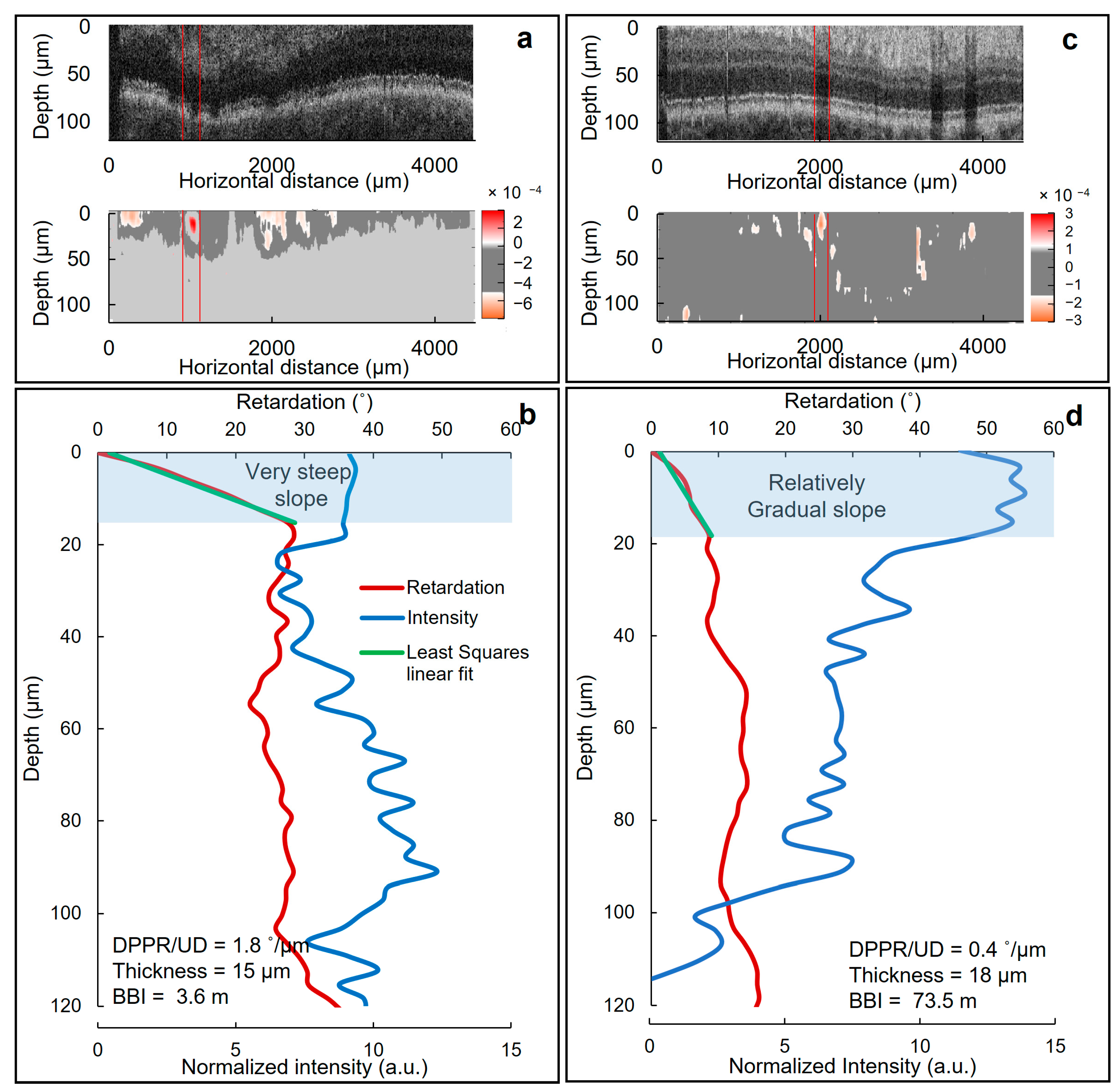 Biomolecules 13 01230 g005