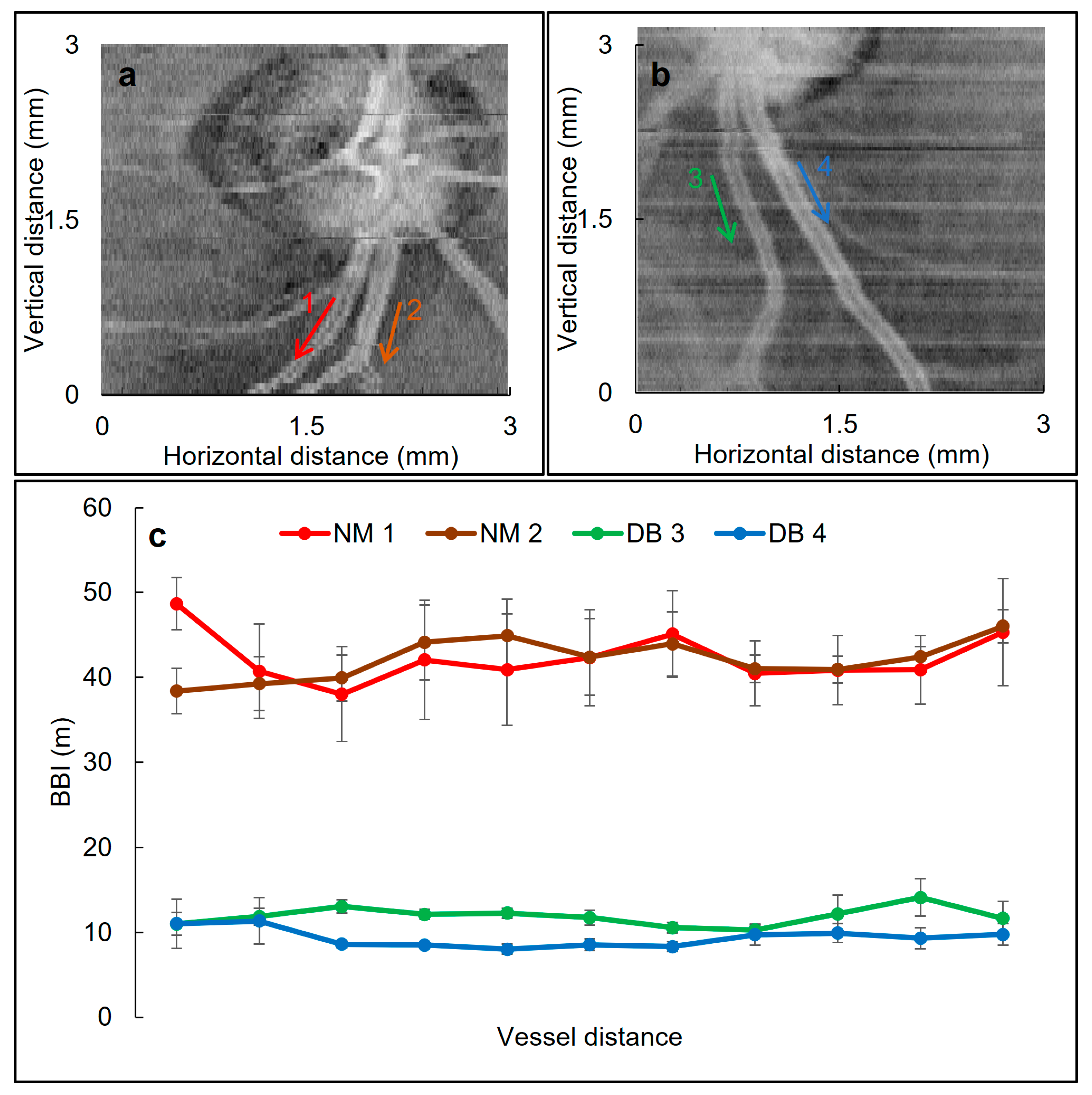 Biomolecules 13 01230 g008
