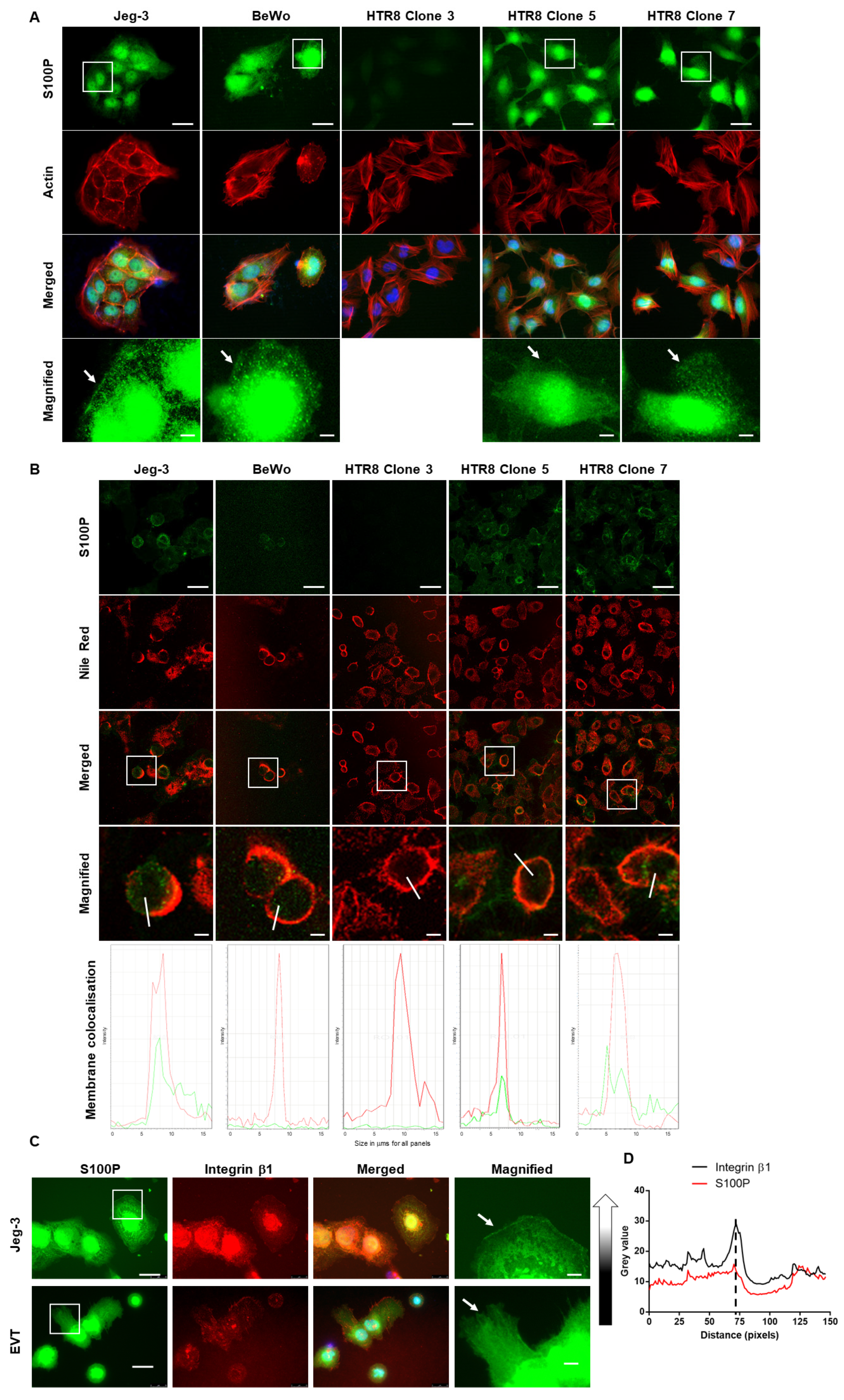 Biomolecules 13 01231 g002