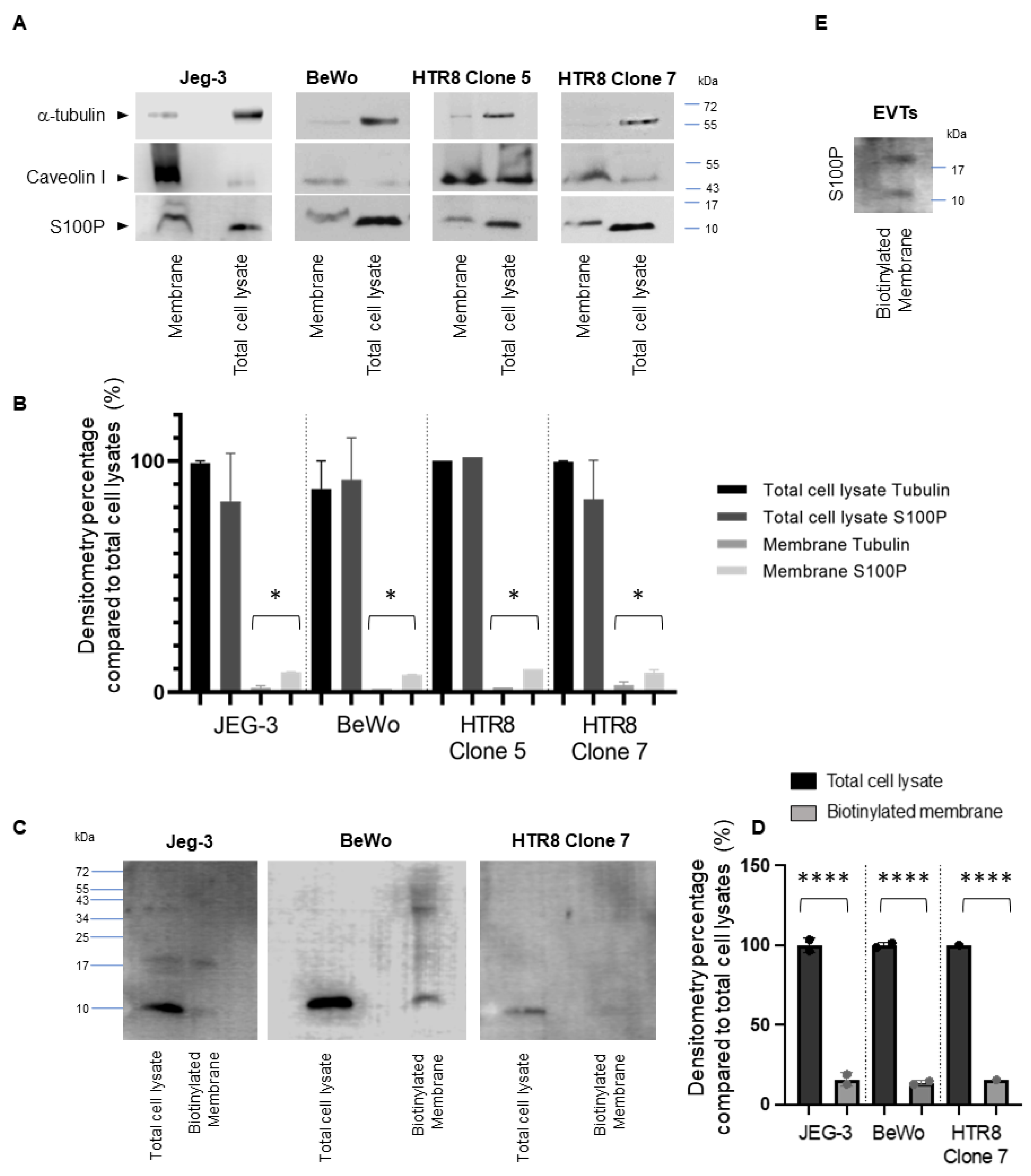 Biomolecules 13 01231 g003