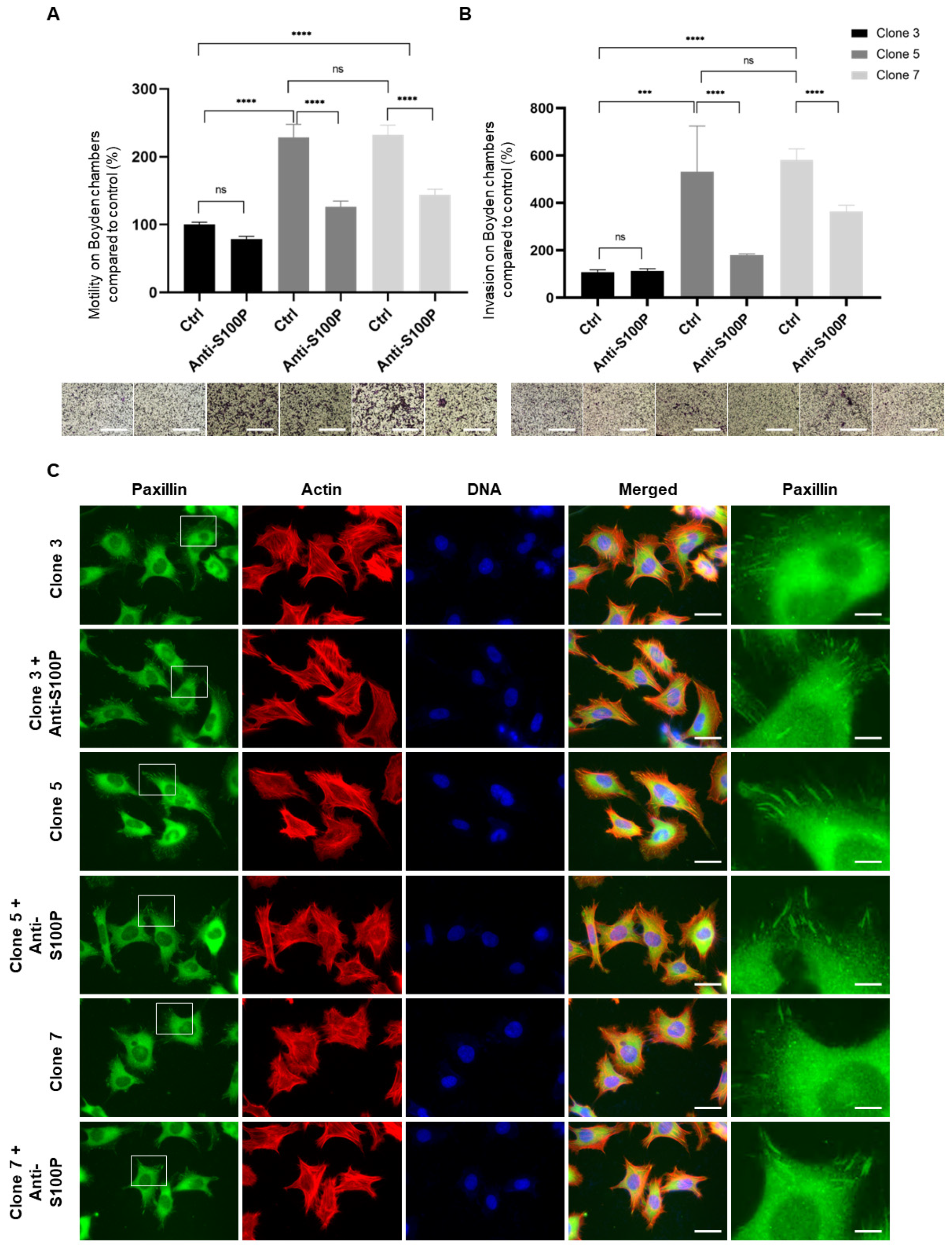 Biomolecules 13 01231 g005