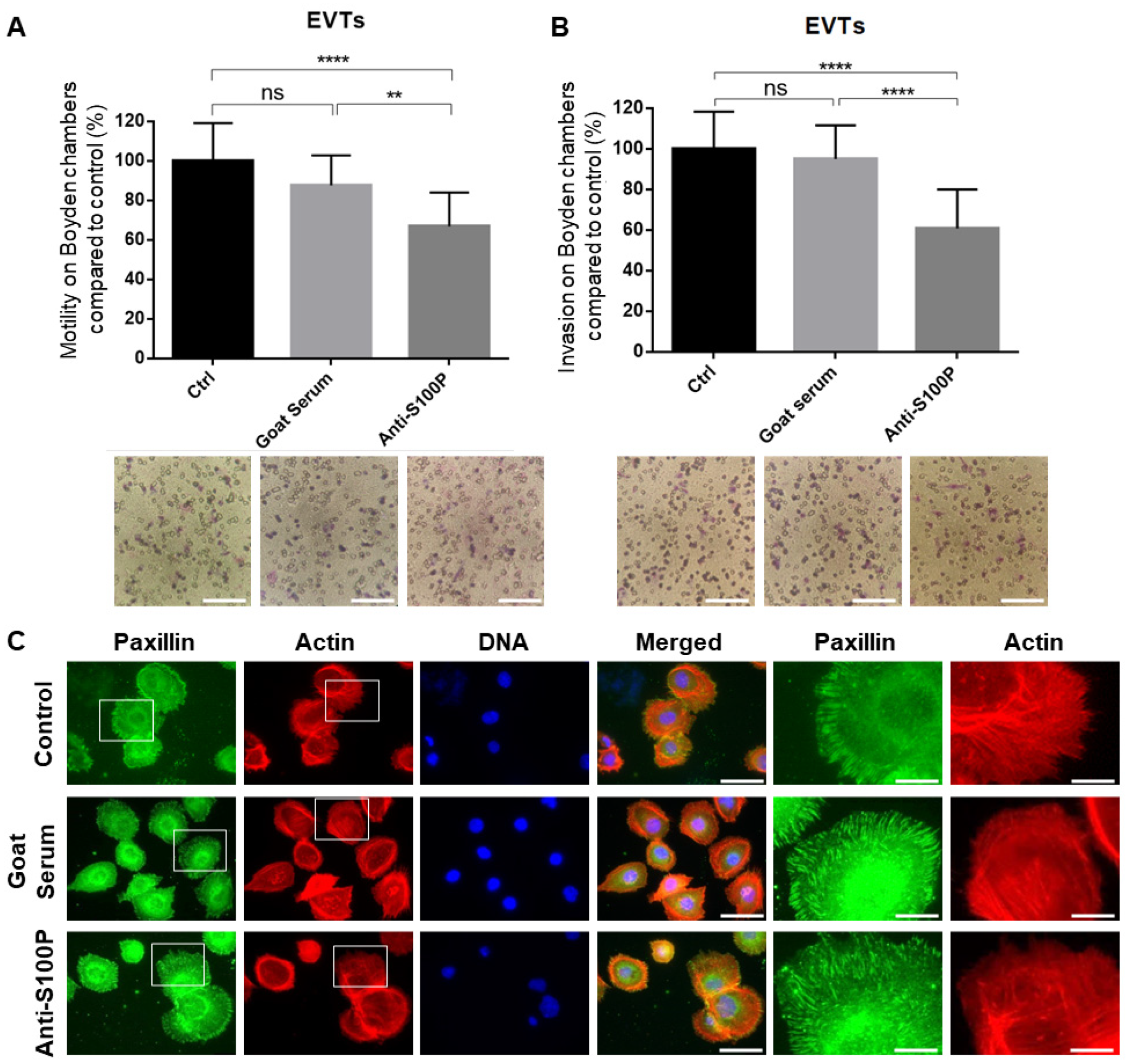 Biomolecules 13 01231 g006