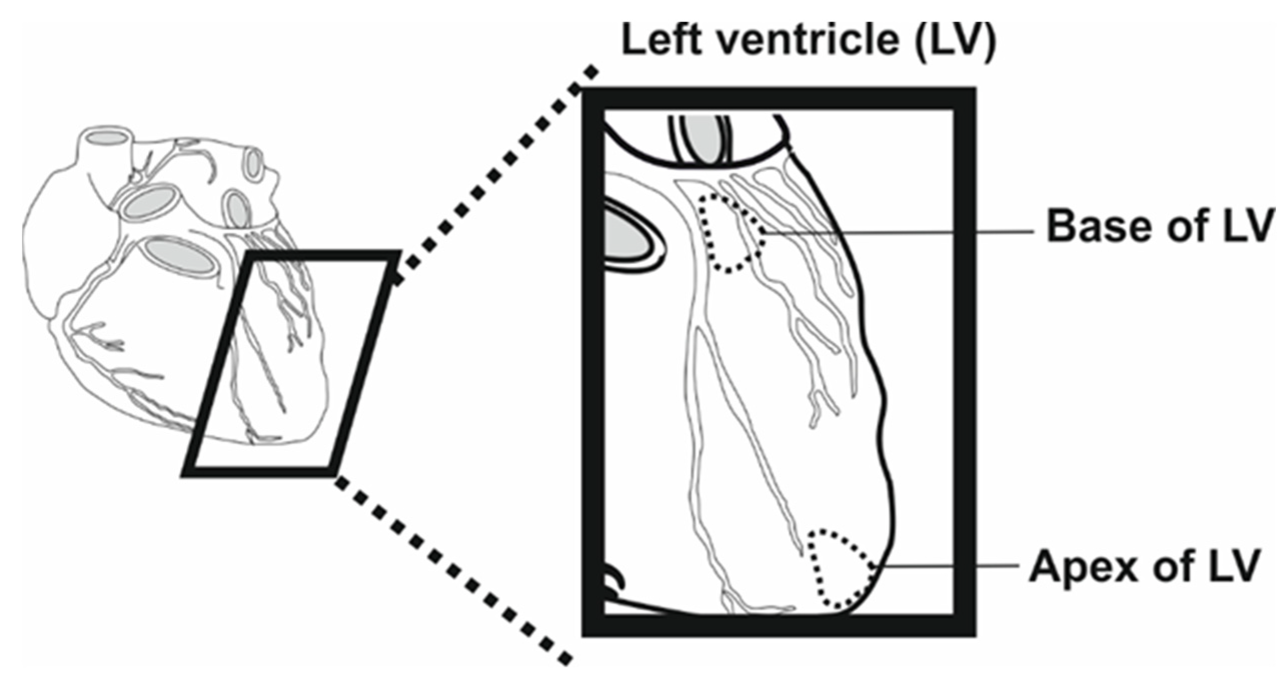 Biomolecules 13 01232 g001