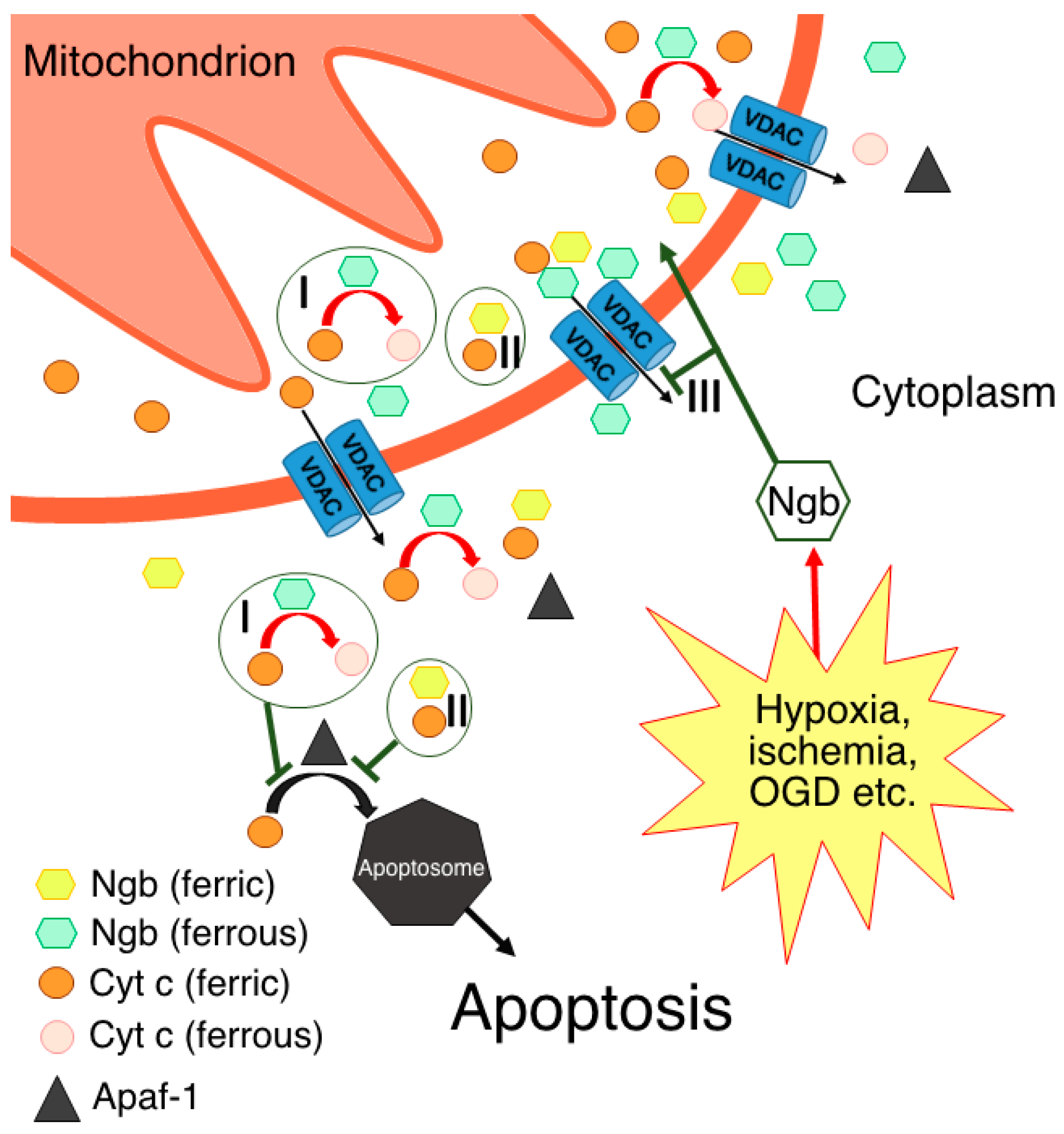 Biomolecules 13 01233 g001