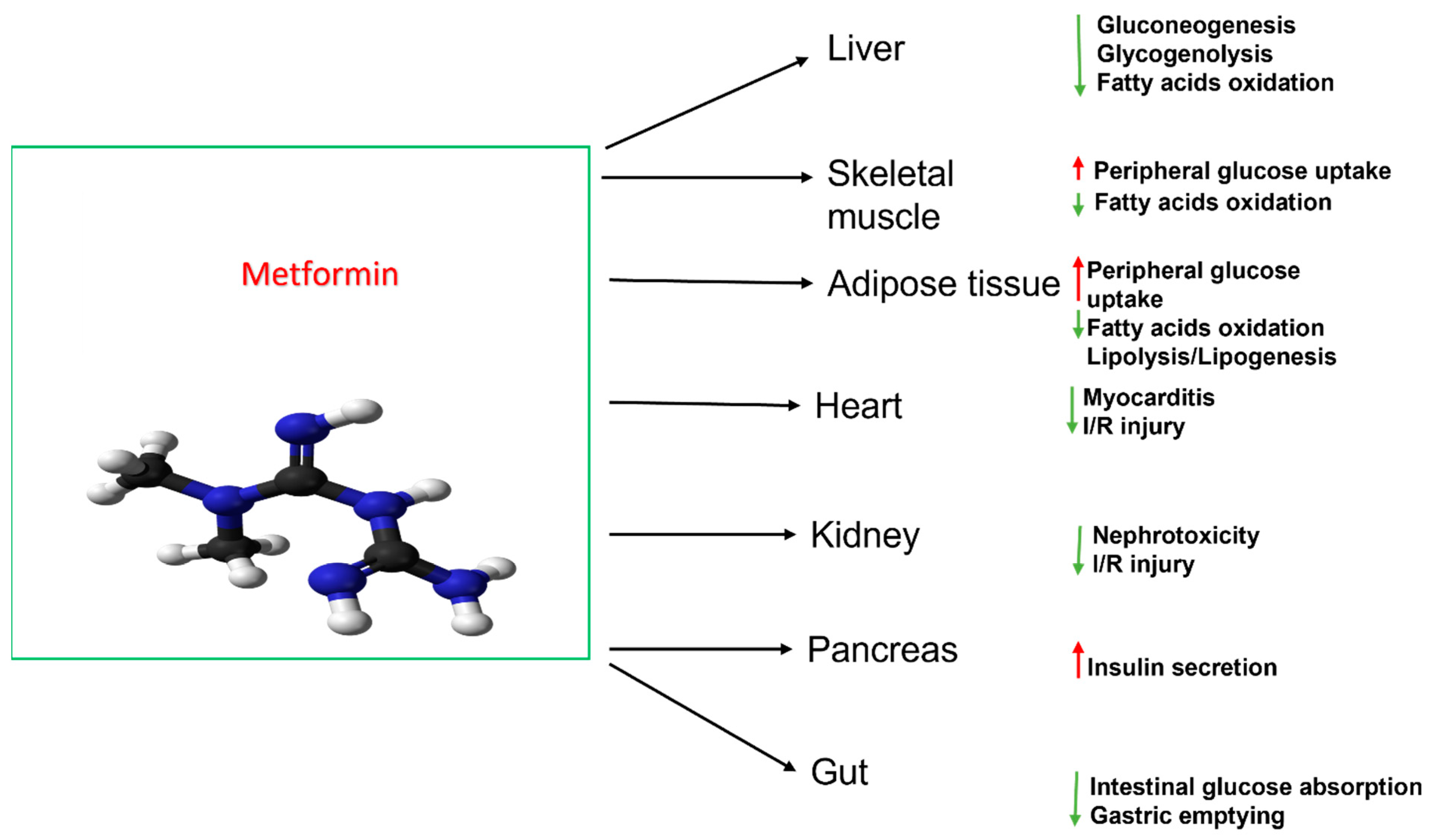 Biomolecules 13 01234 g001