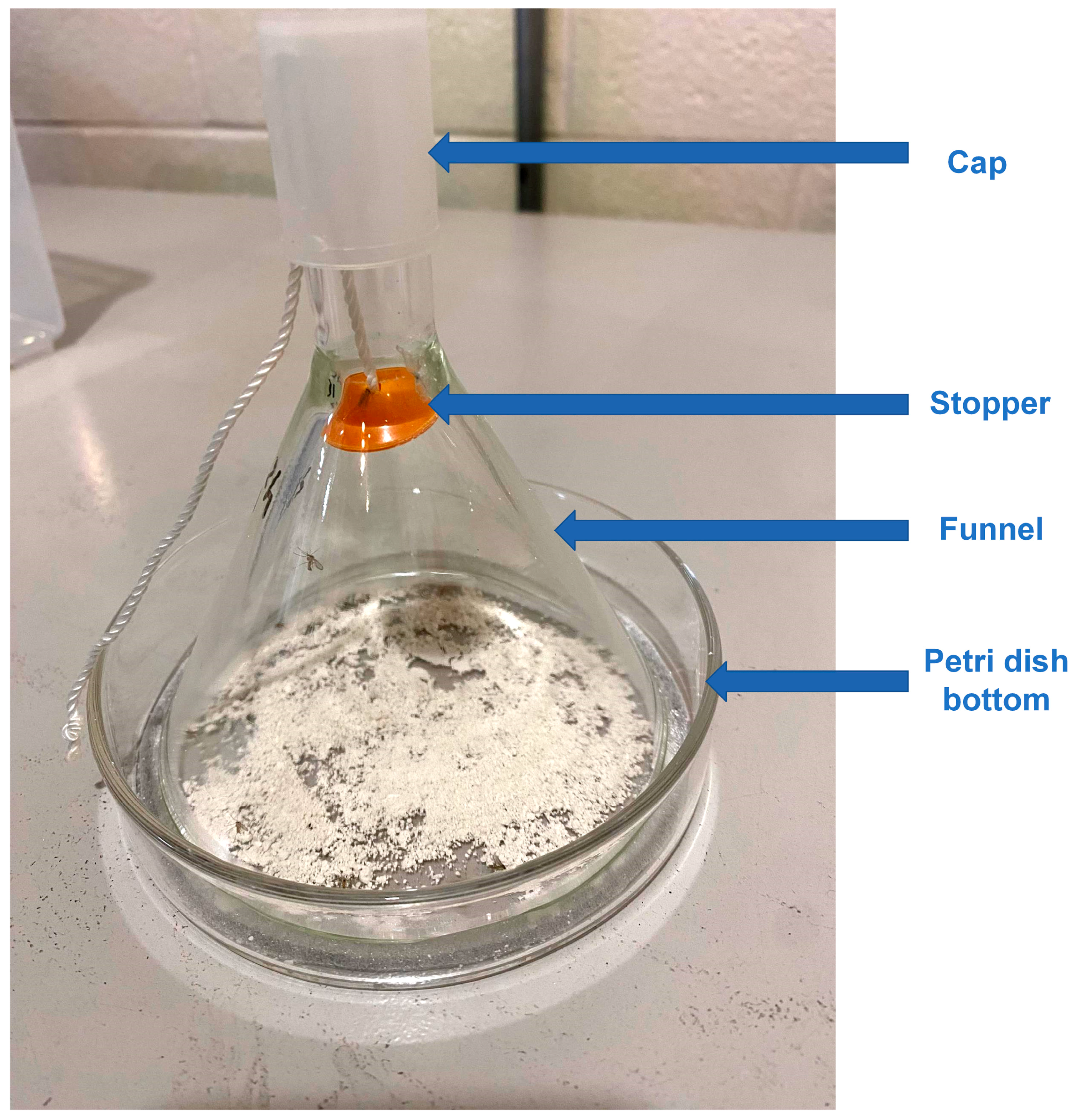 Biomolecules 13 01235 g001 Biomolecules 13 01235 g001