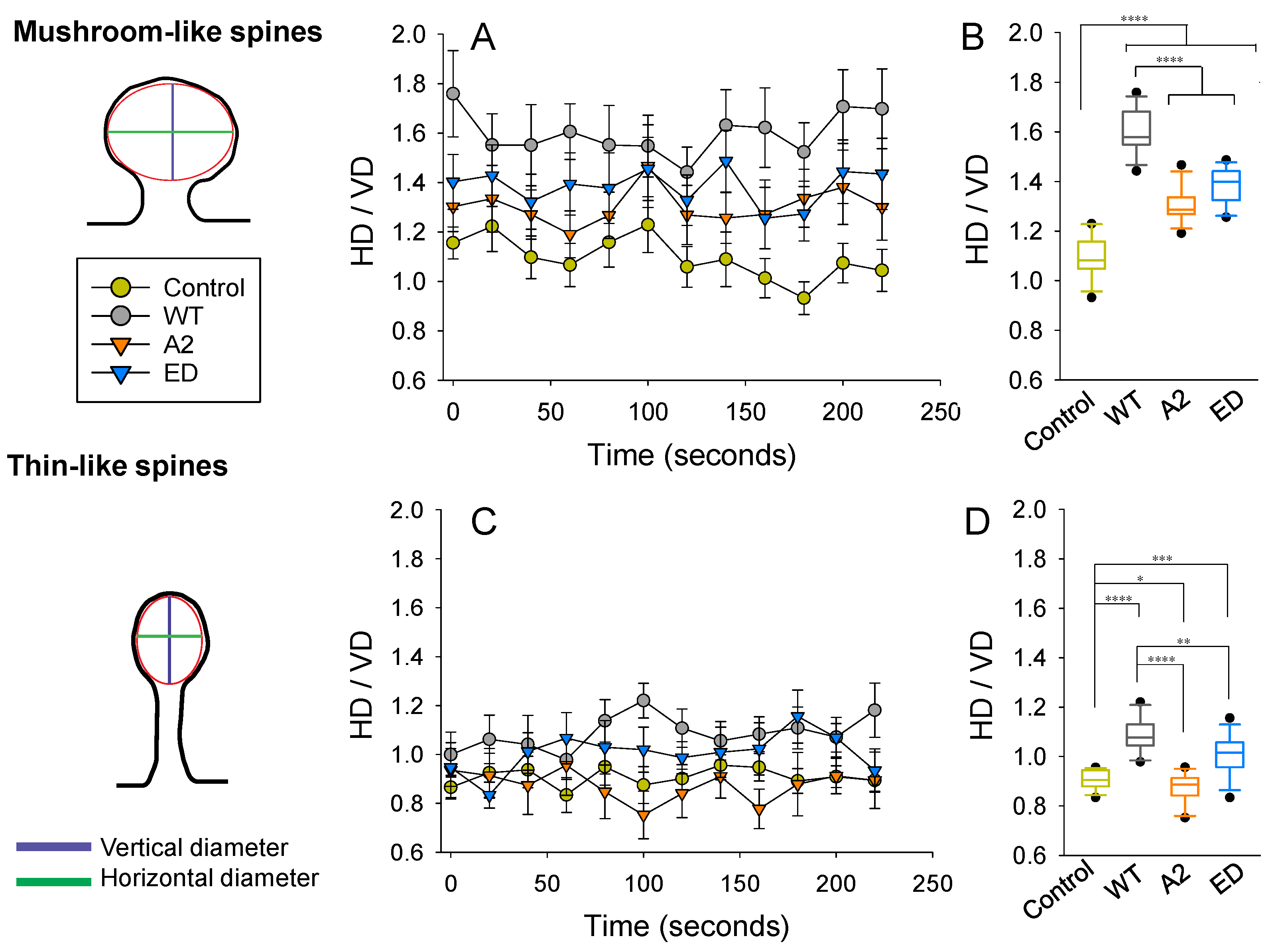 Biomolecules 13 01237 g007