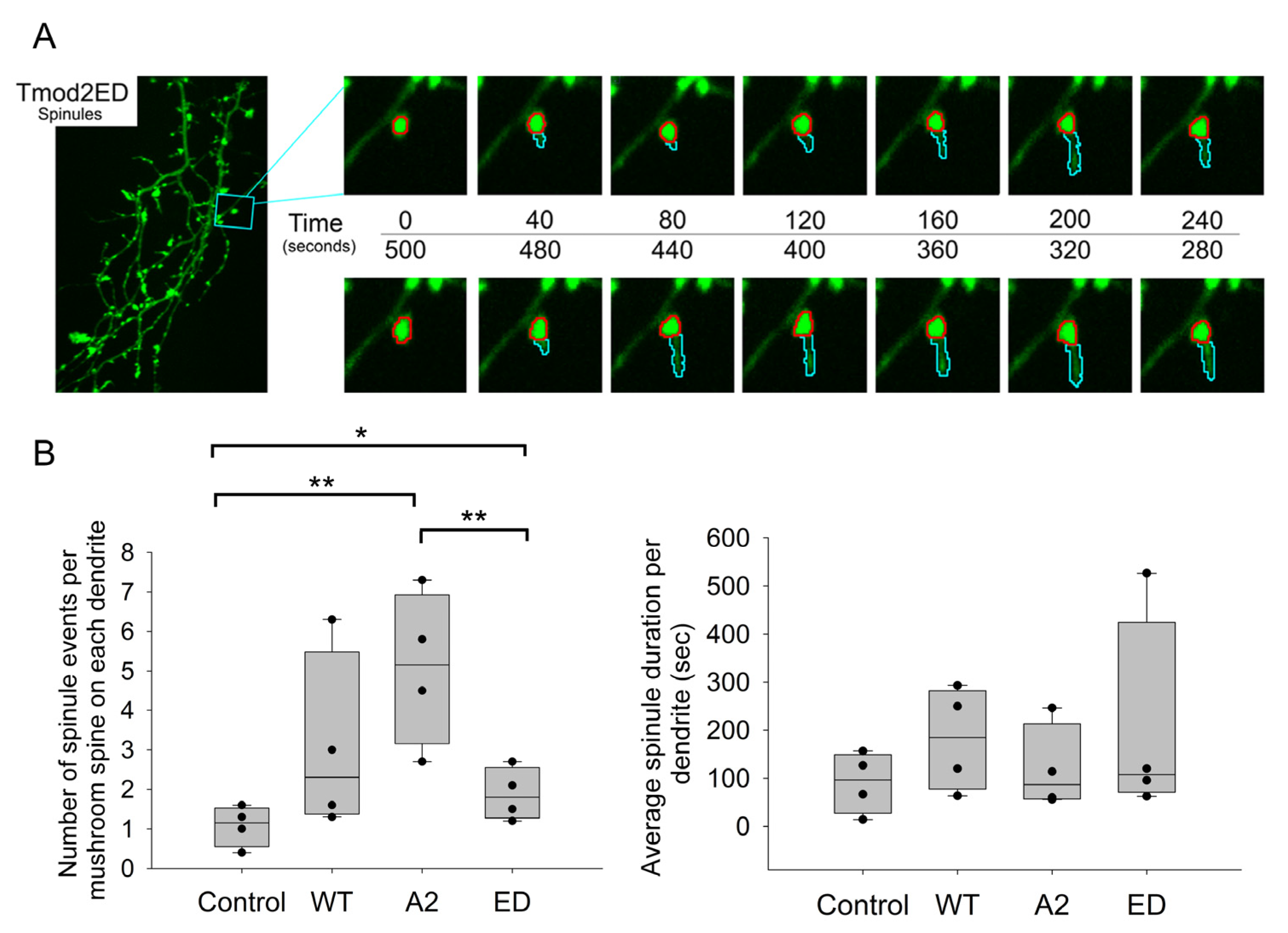 Biomolecules 13 01237 g008