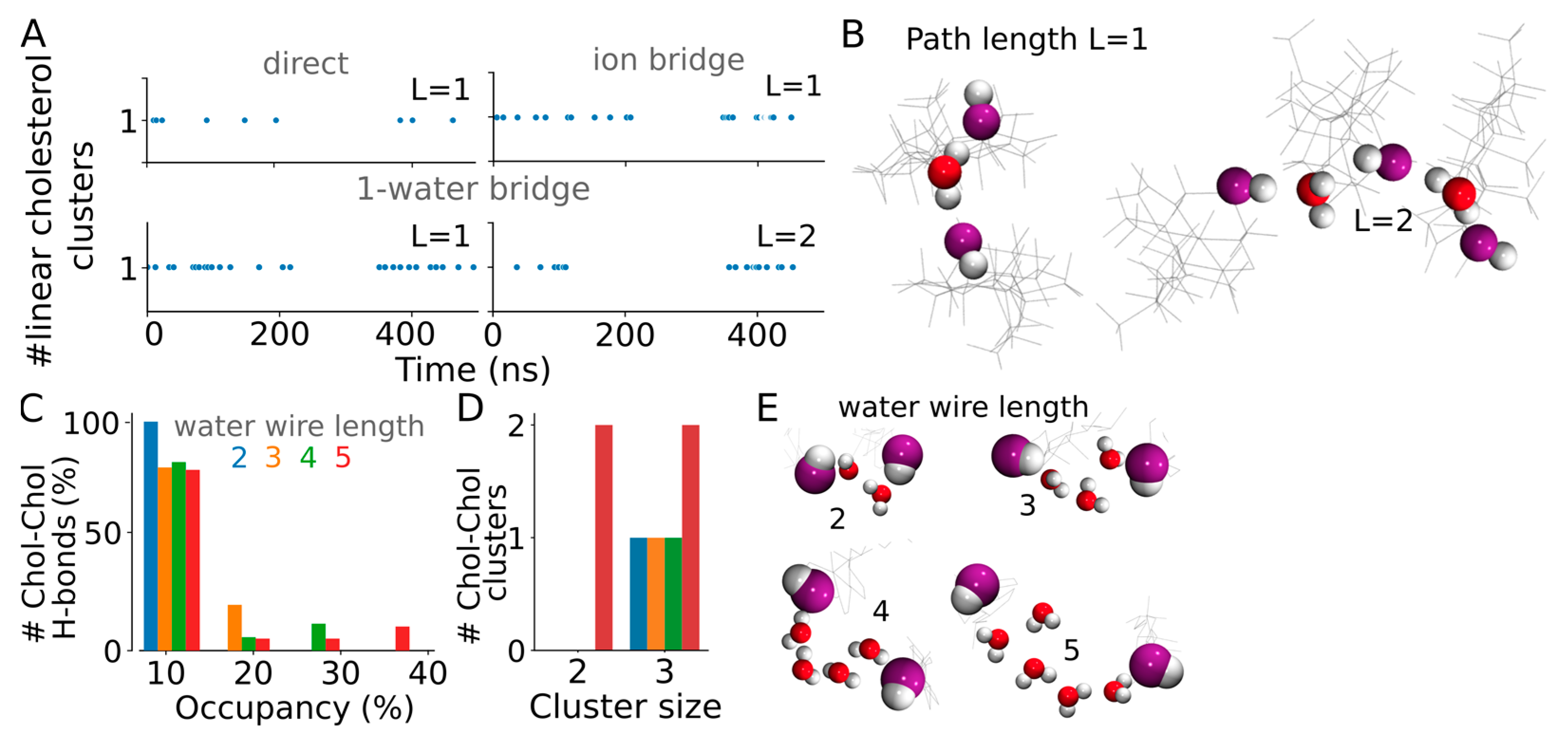 Biomolecules 13 01238 g006