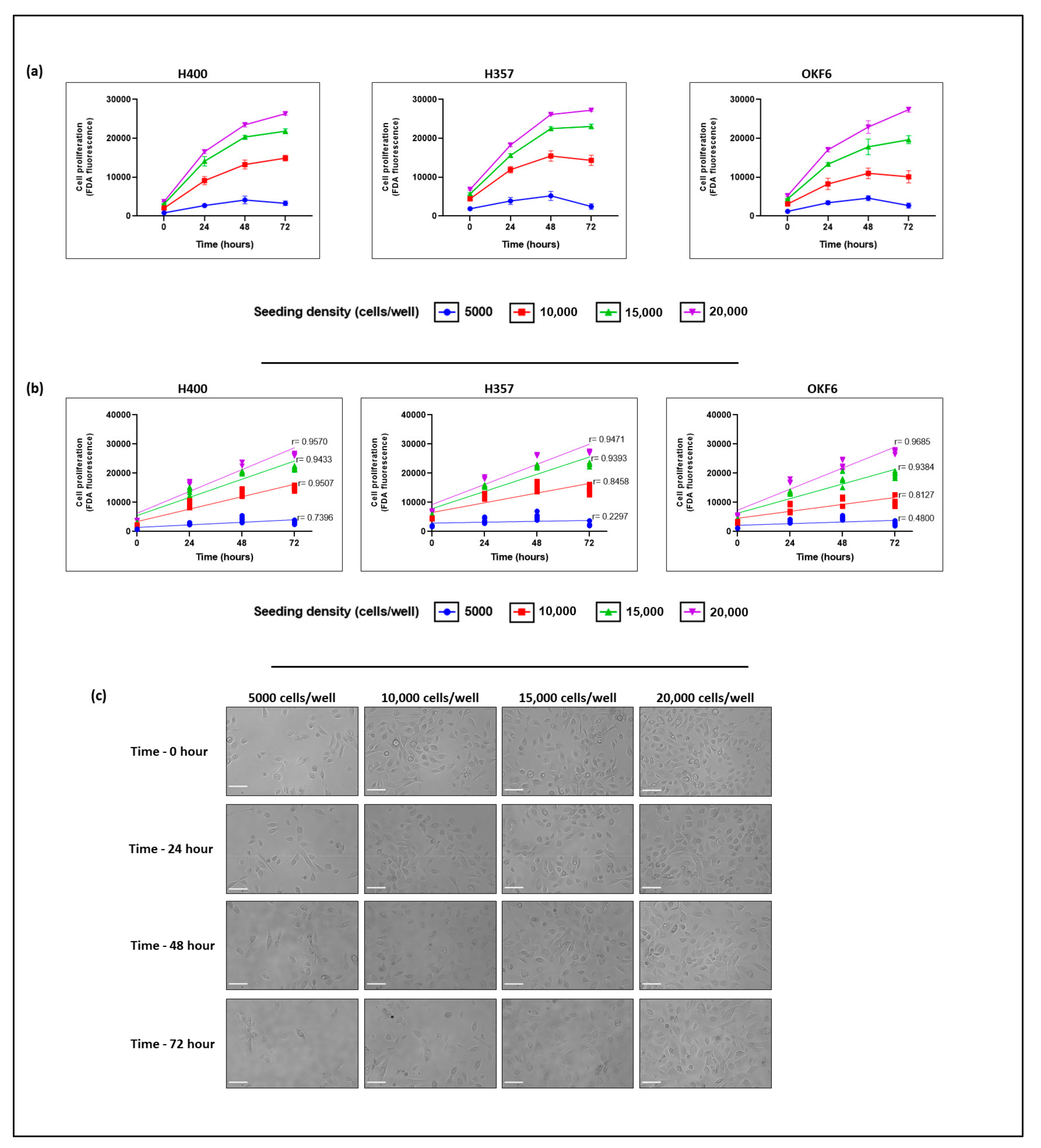 Biomolecules 13 01239 g001