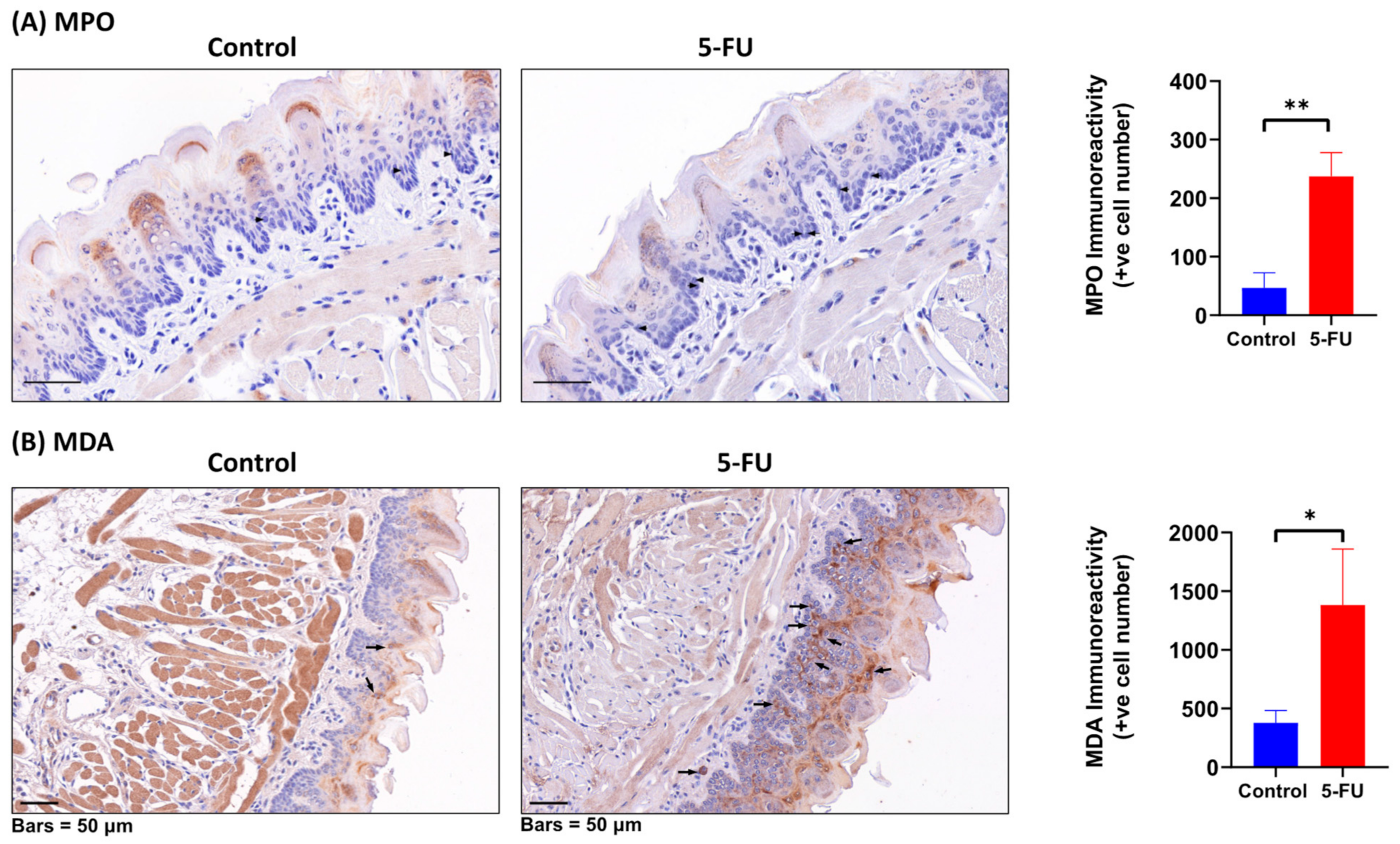 Biomolecules 13 01239 g007
