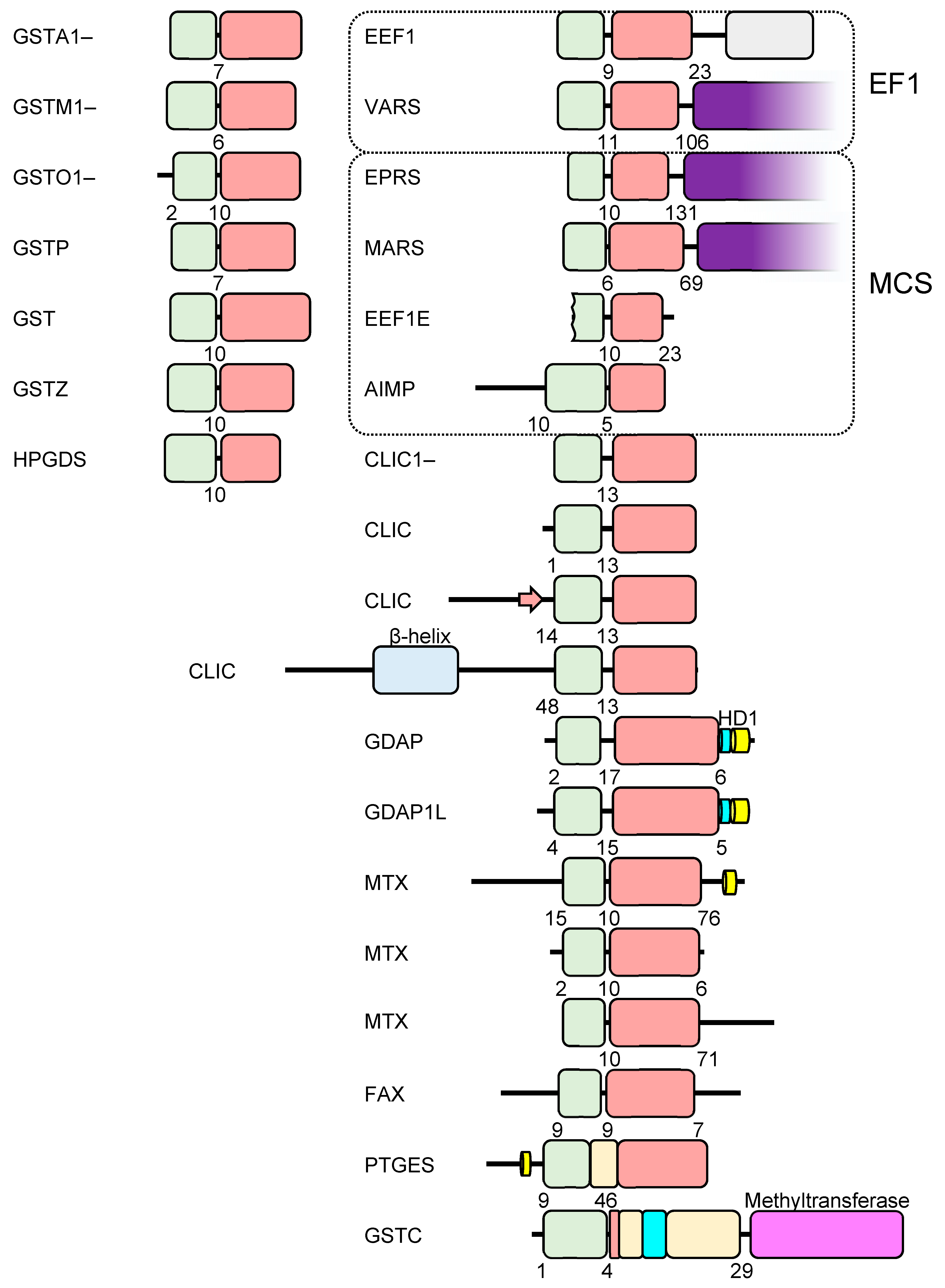 Biomolecules 13 01240 g001