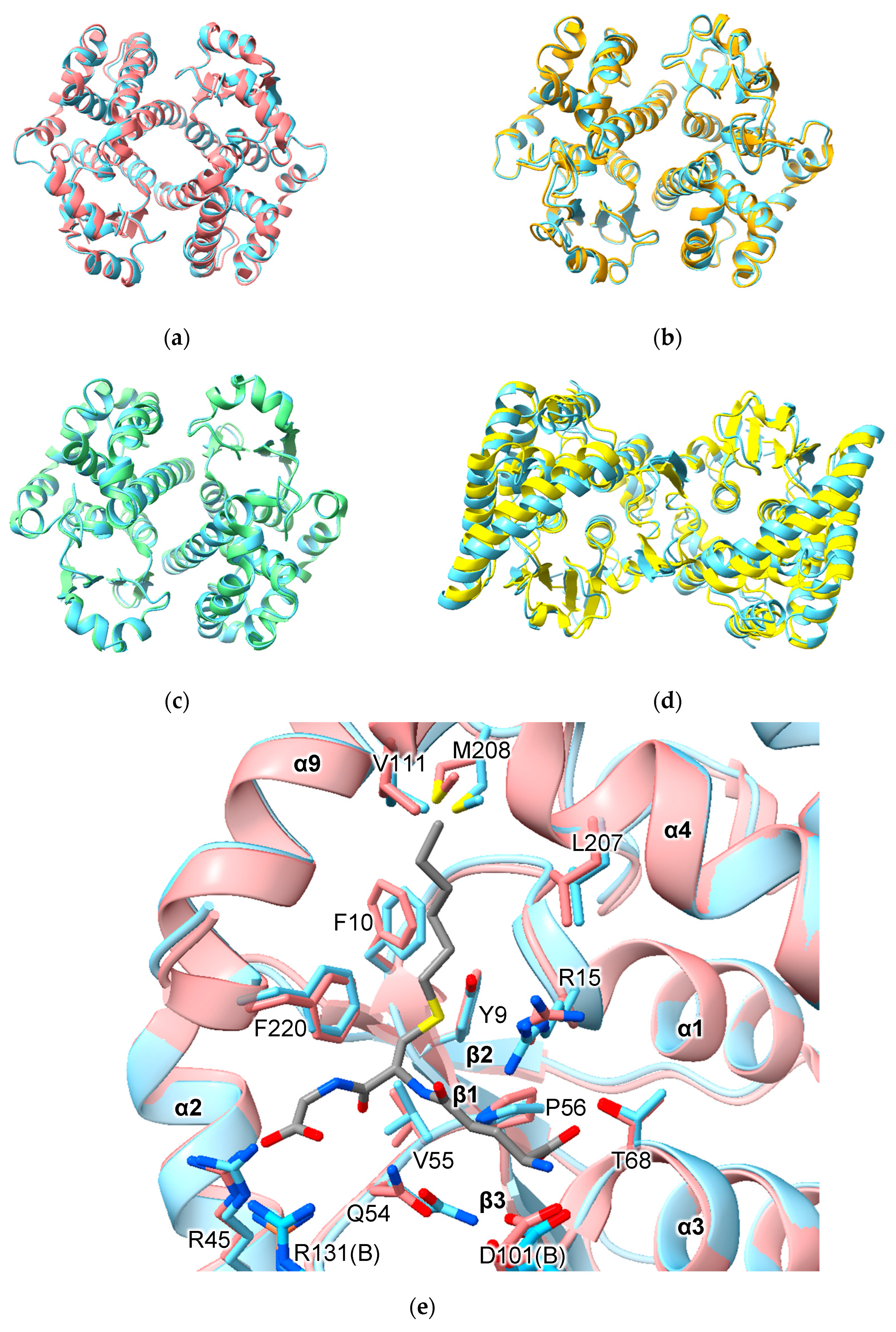 Biomolecules 13 01240 g002