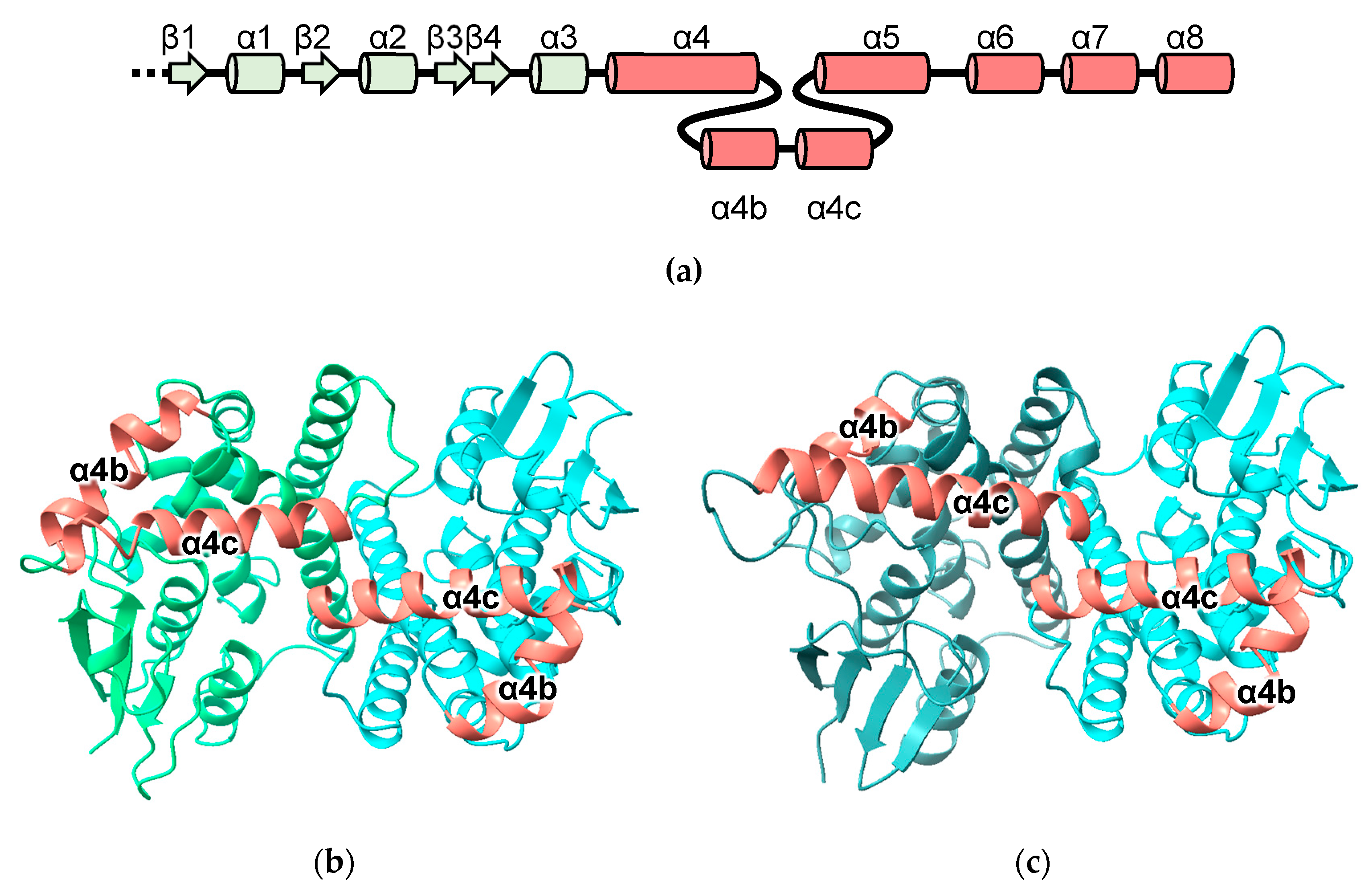 Biomolecules 13 01240 g004