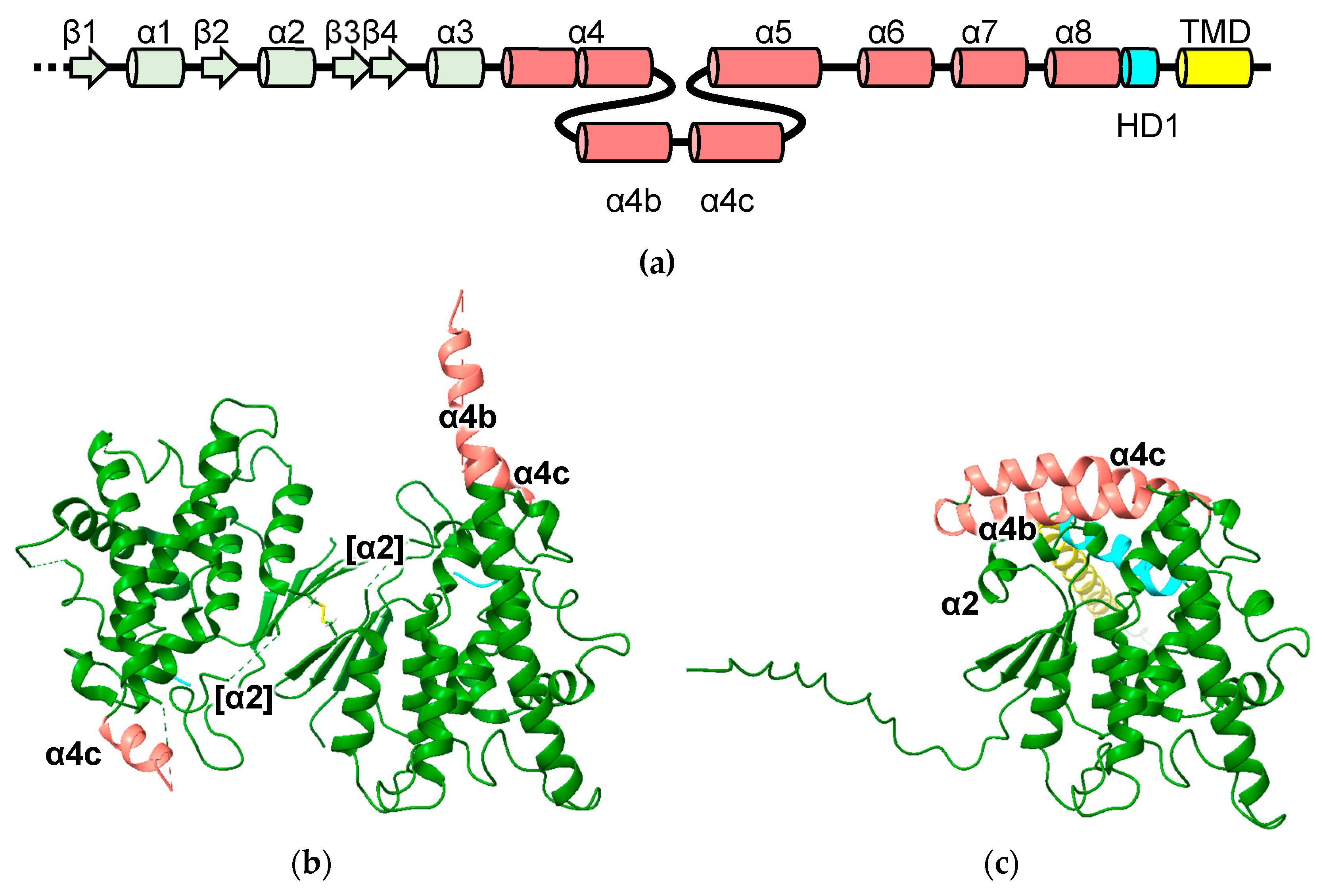Biomolecules 13 01240 g005